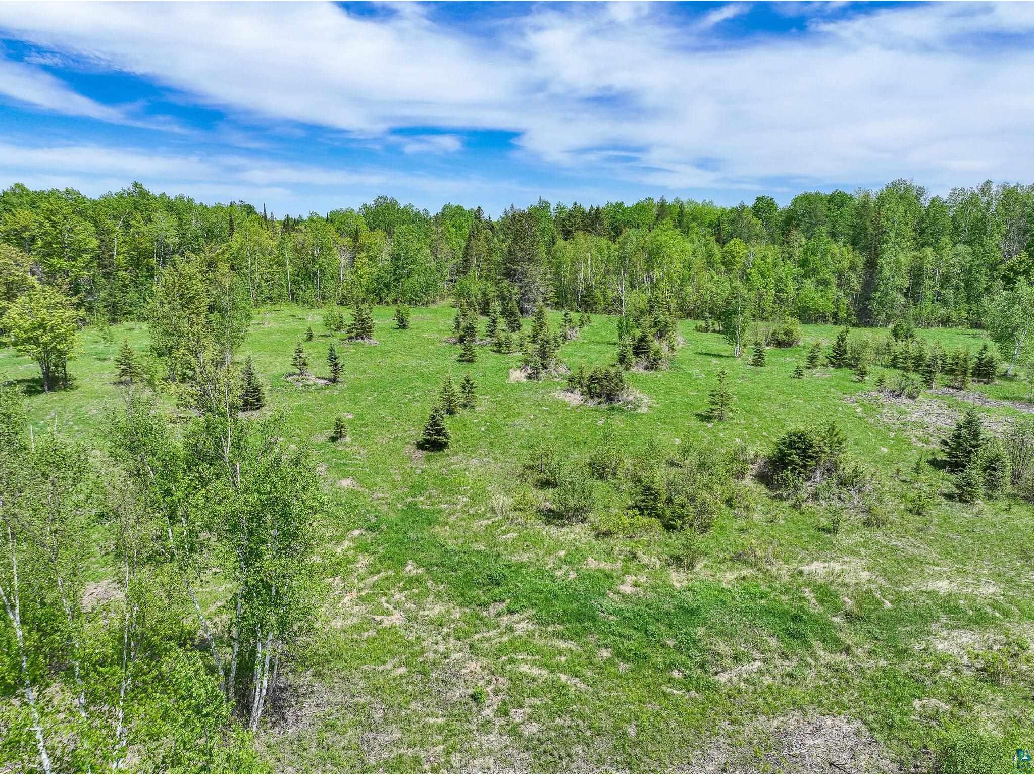 56xa Hwy 7 Culver MN 55779 6125743 image17