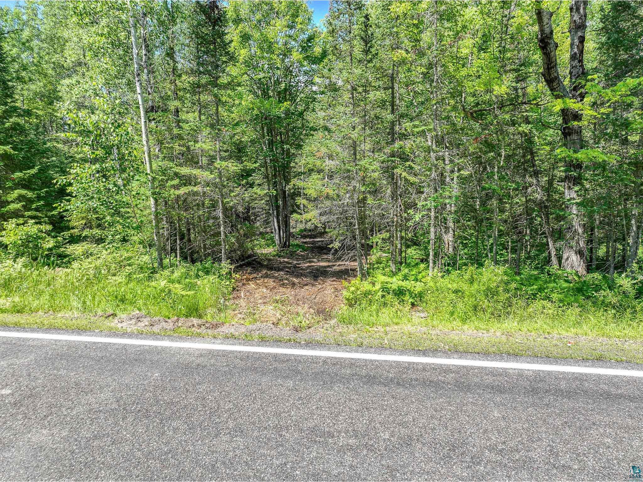 56xb Hwy 7 Culver MN 55779 6126817 image5
