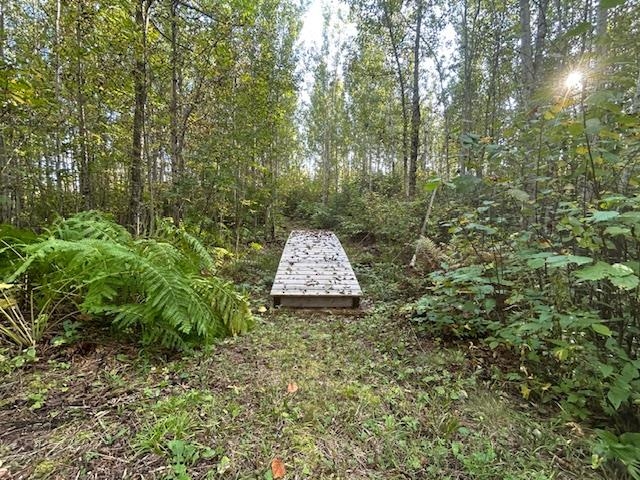 57 Jonvick Creek Dr Lutsen MN 55612 6122126 image42