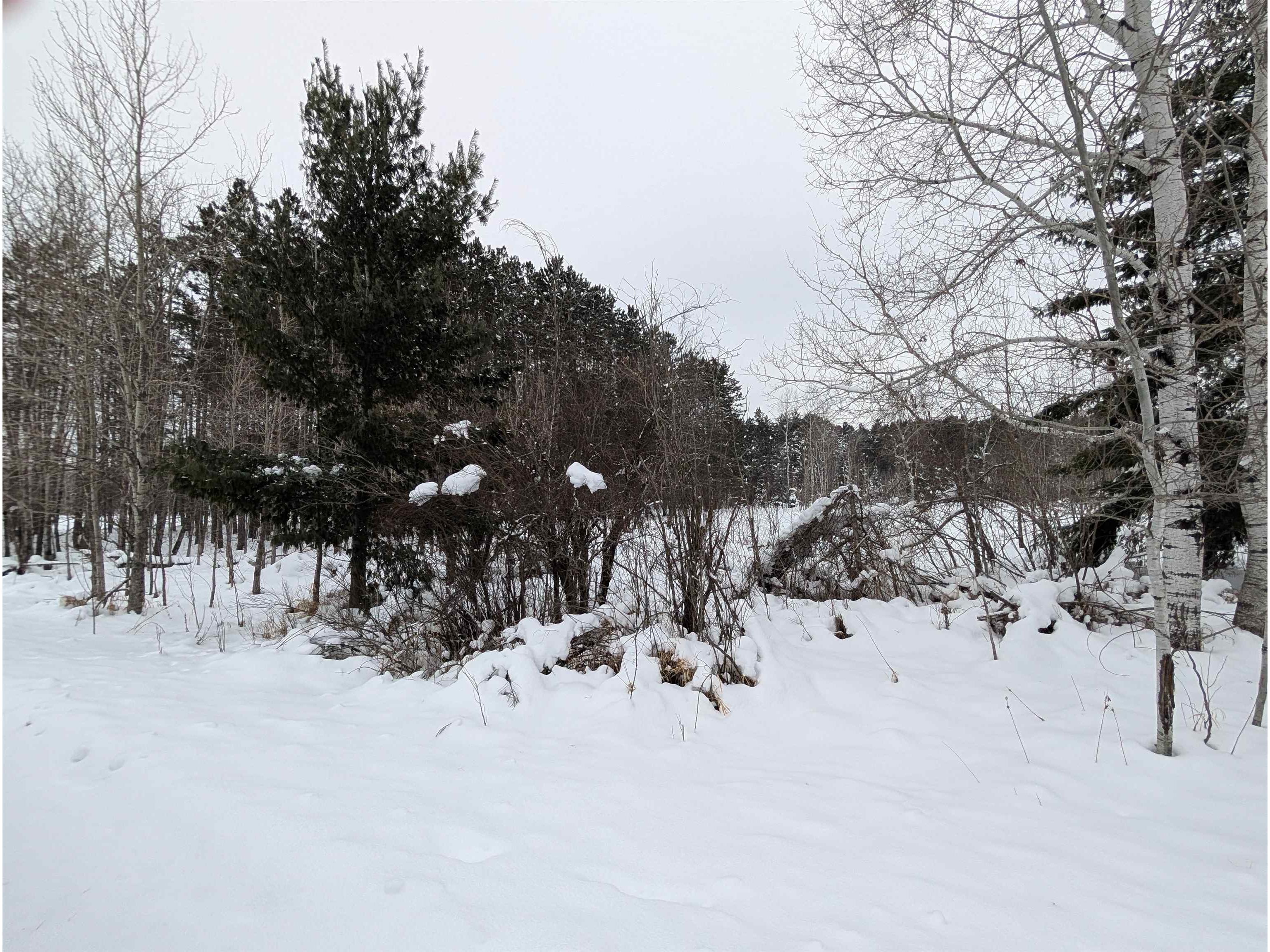 57695 Four Corners Rd Mason WI 54856 - Marengo River 6123141 image1