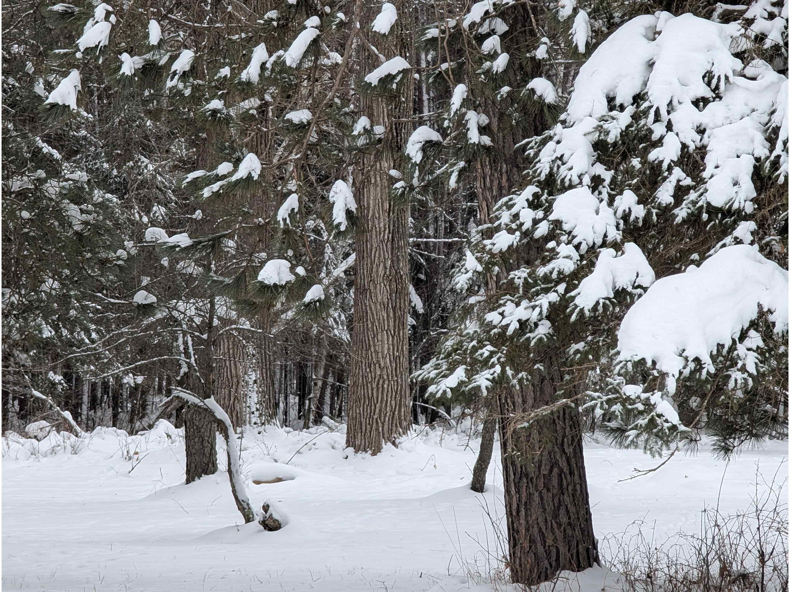 57695 Four Corners Rd Mason WI 54856 - Marengo River 6123141 image3