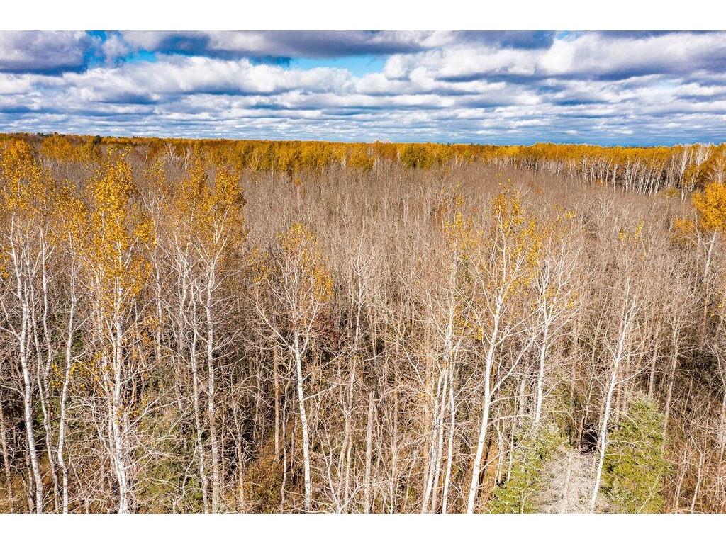 57XX Rose Rd Hermantown MN 55811 6122630 image7