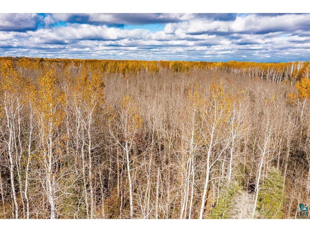 57XX Rose Rd Hermantown MN 55811 6123995 image7