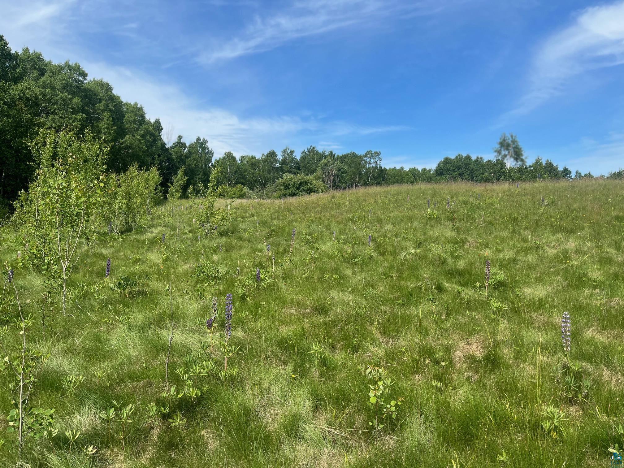 57xx Howard Gnesen Rd Rice Lake MN 55803 6126371 image2