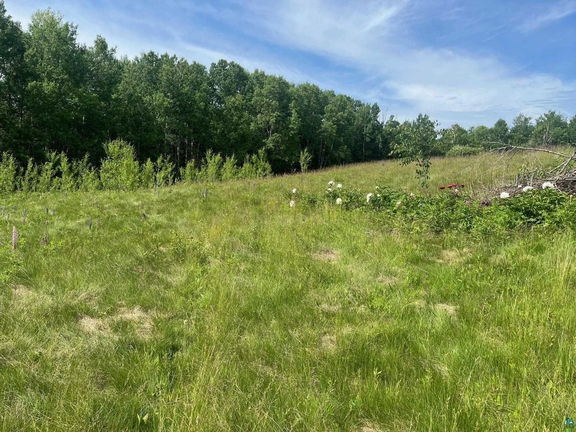 57xx Howard Gnesen Rd Rice Lake MN 55803 6126371 image3