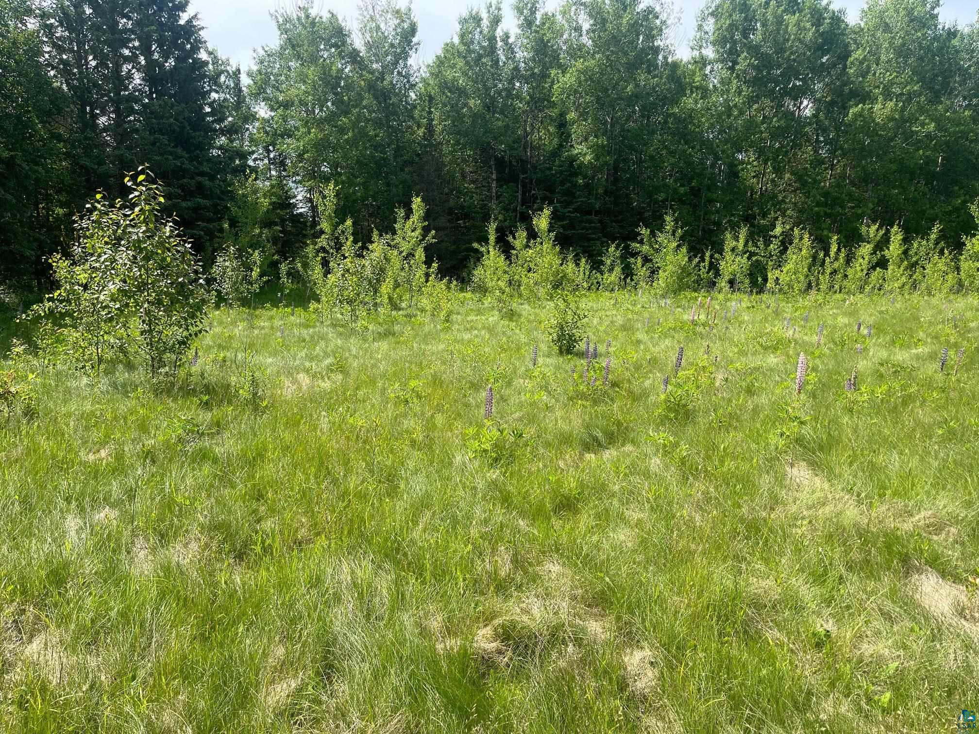 57xx Howard Gnesen Rd Rice Lake MN 55803 6126371 image4