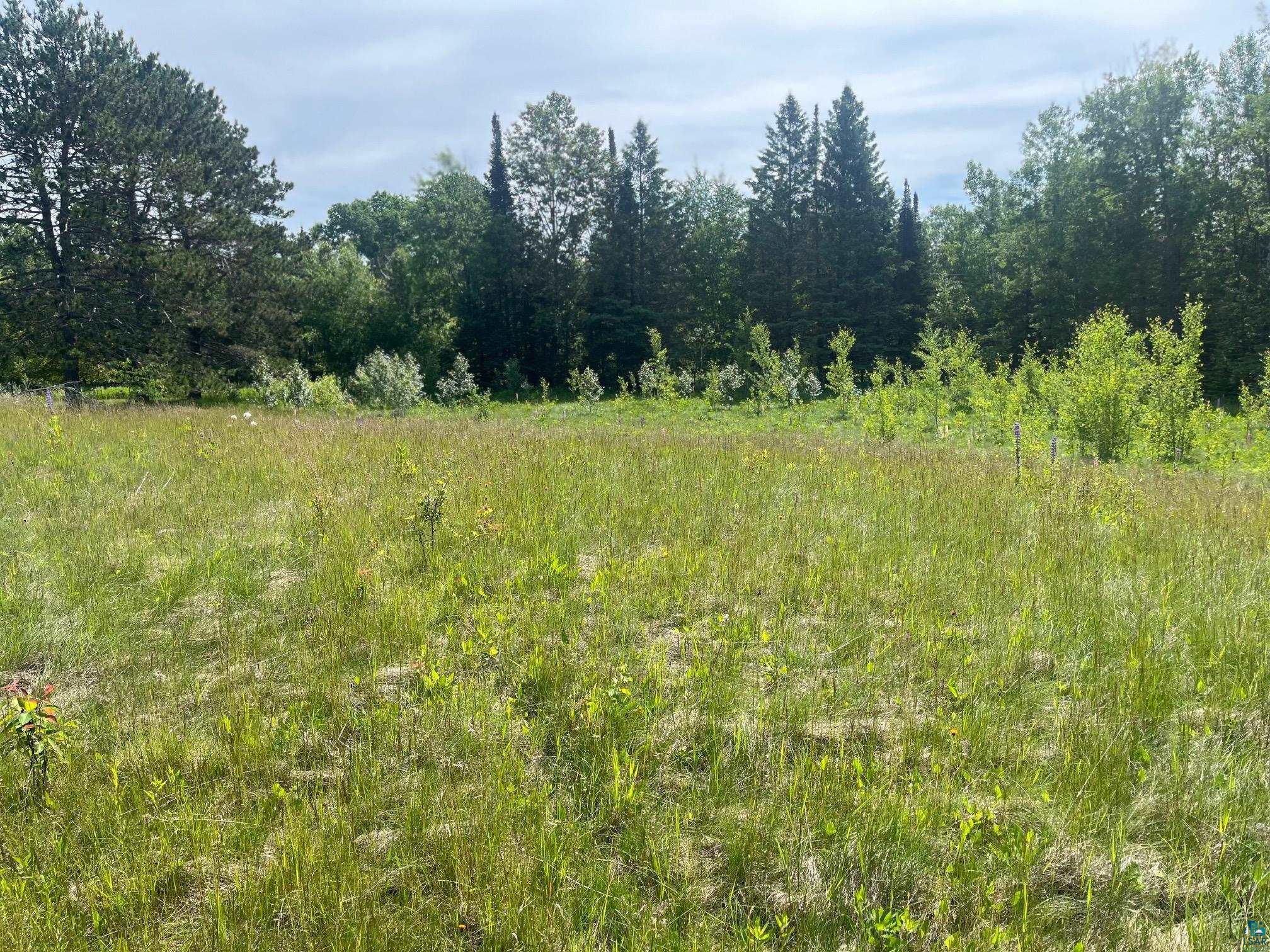 57xx Howard Gnesen Rd Rice Lake MN 55803 6126371 image6