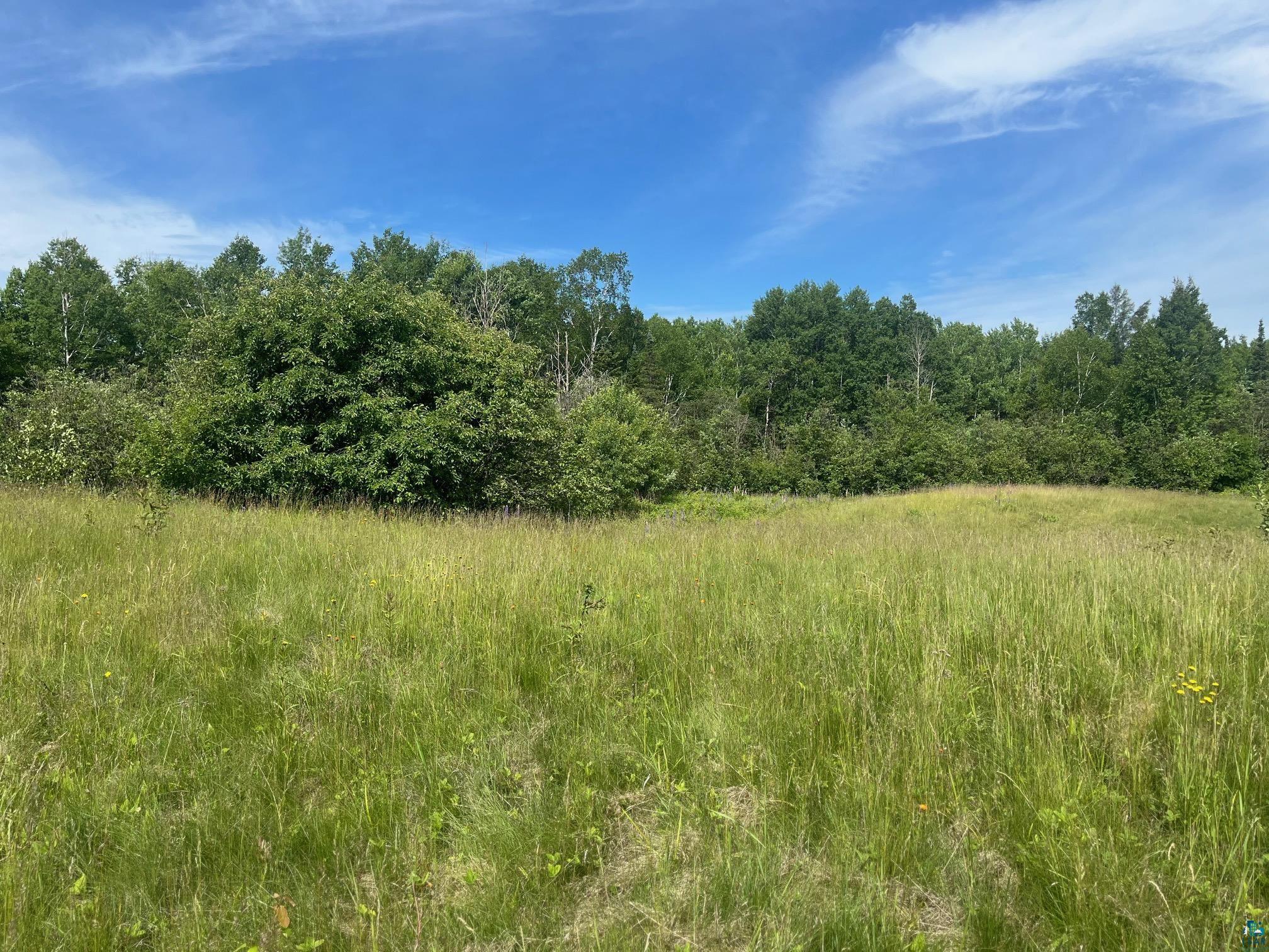57xx Howard Gnesen Rd Rice Lake MN 55803 6126371 image7