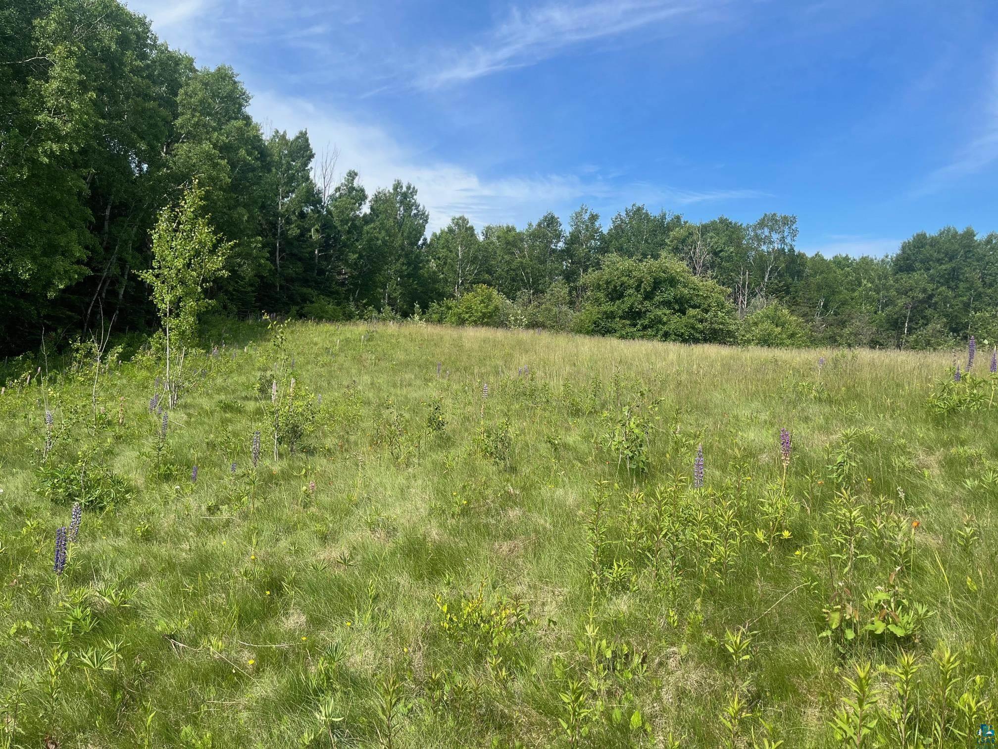 57xx Howard Gnesen Rd Rice Lake MN 55803 6126371 image8