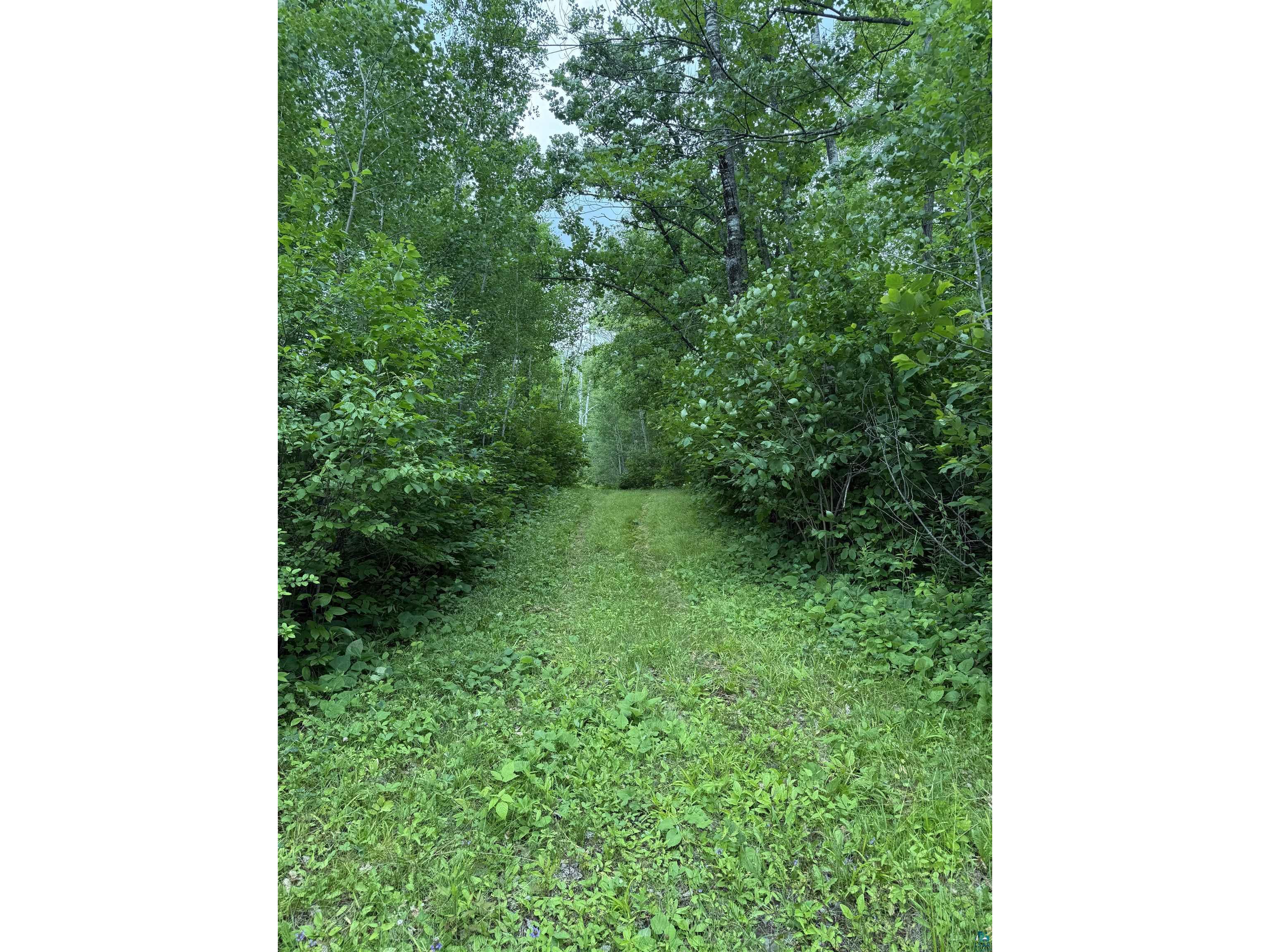 58059 Wolf Creek Rd Sandstone MN 55072 6126488 image17