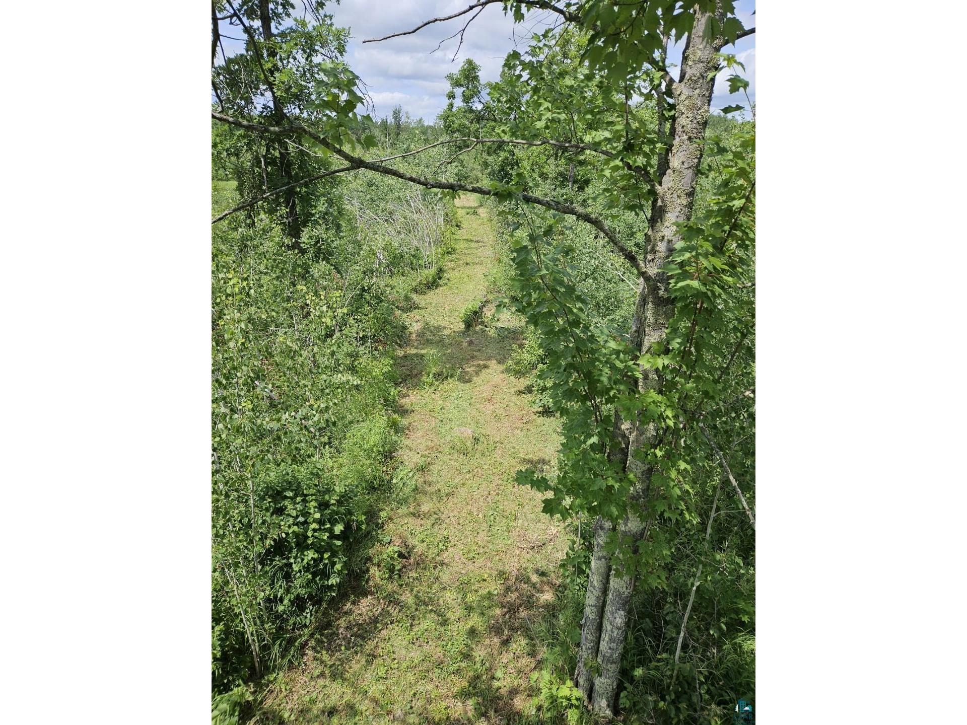 58059 Wolf Creek Rd Sandstone MN 55072 6126488 image18