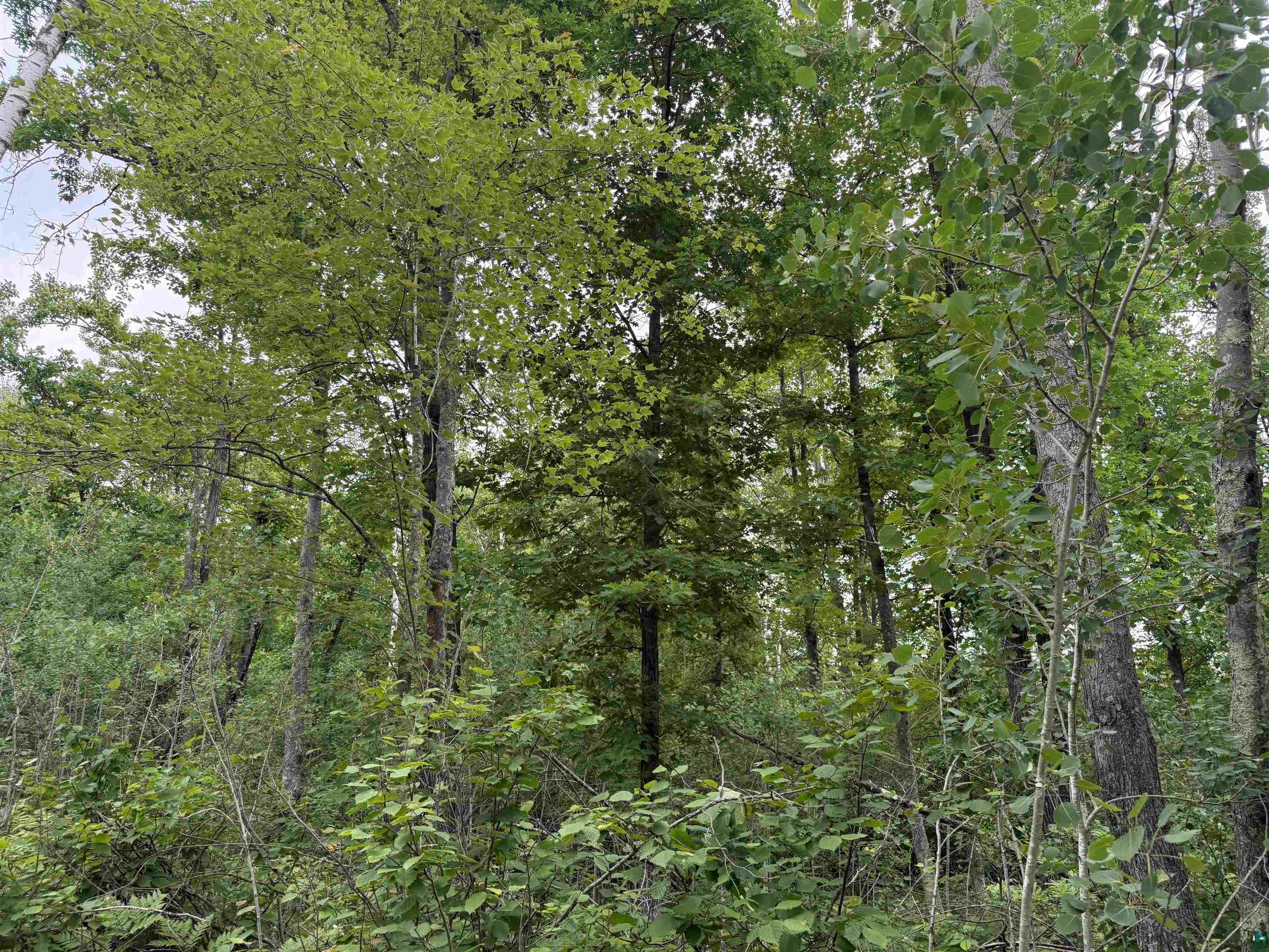 58059 Wolf Creek Rd Sandstone MN 55072 6126488 image19