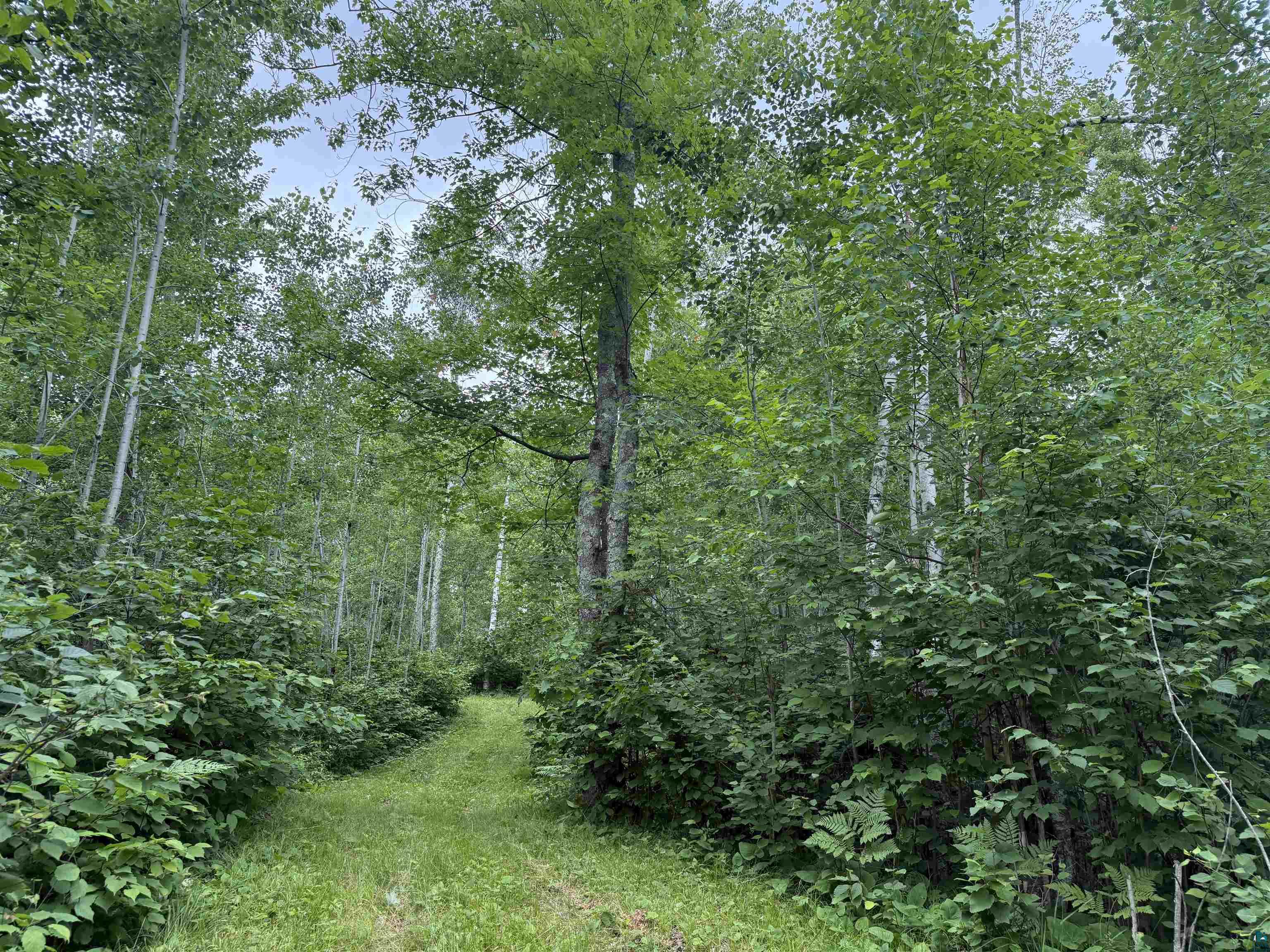58059 Wolf Creek Rd Sandstone MN 55072 6126488 image2