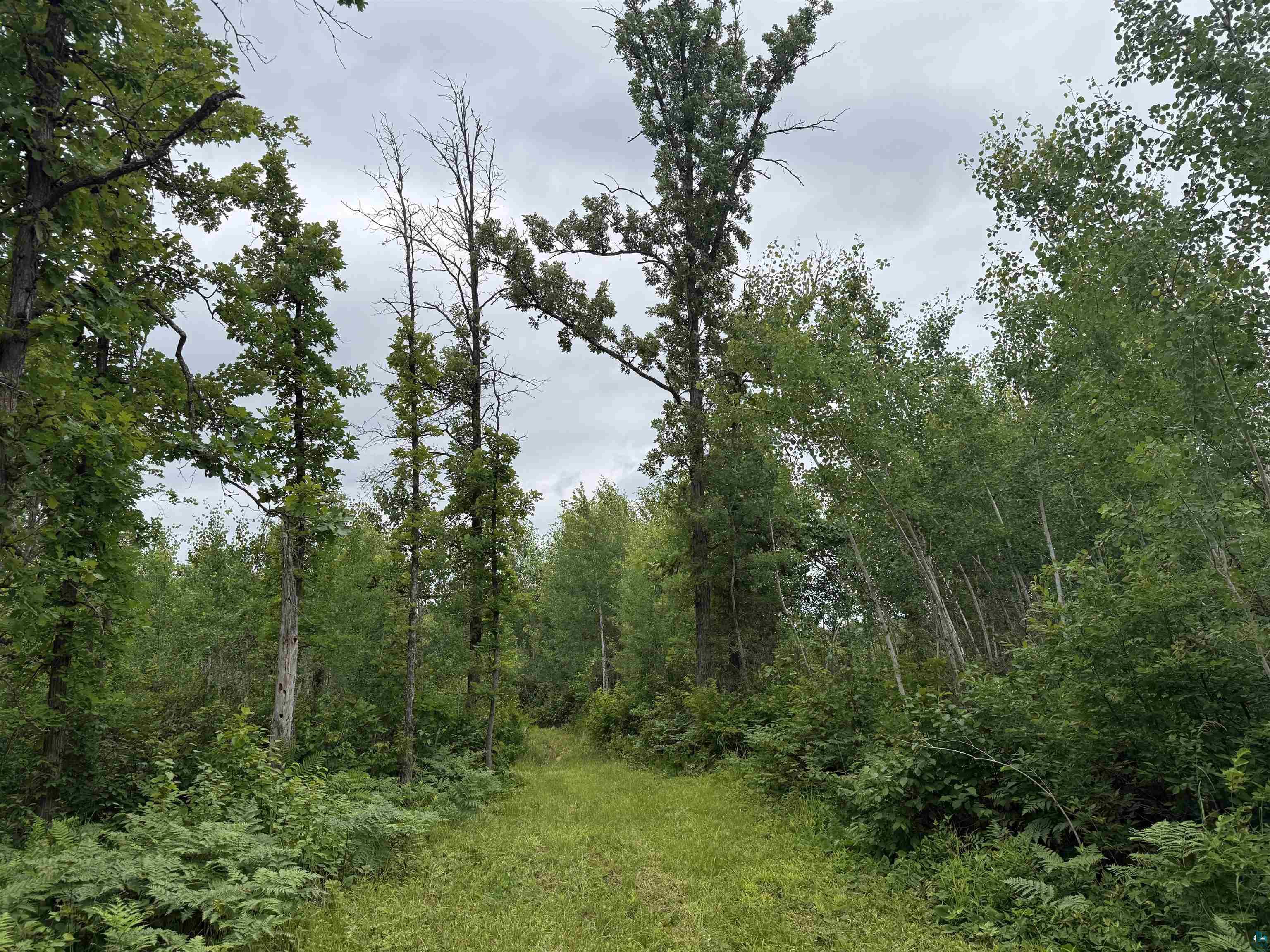 58059 Wolf Creek Rd Sandstone MN 55072 6126488 image20