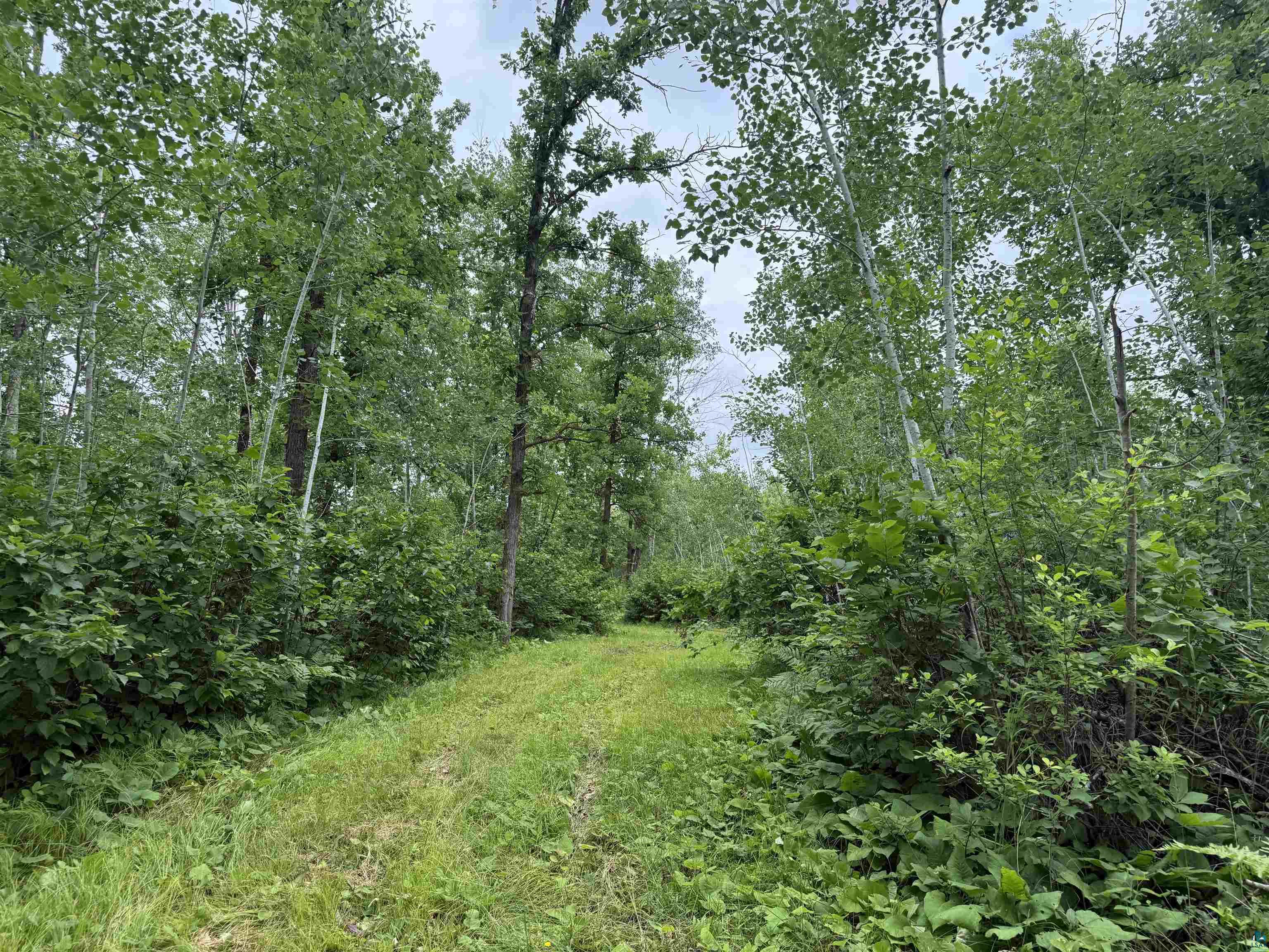 58059 Wolf Creek Rd Sandstone MN 55072 6126488 image23