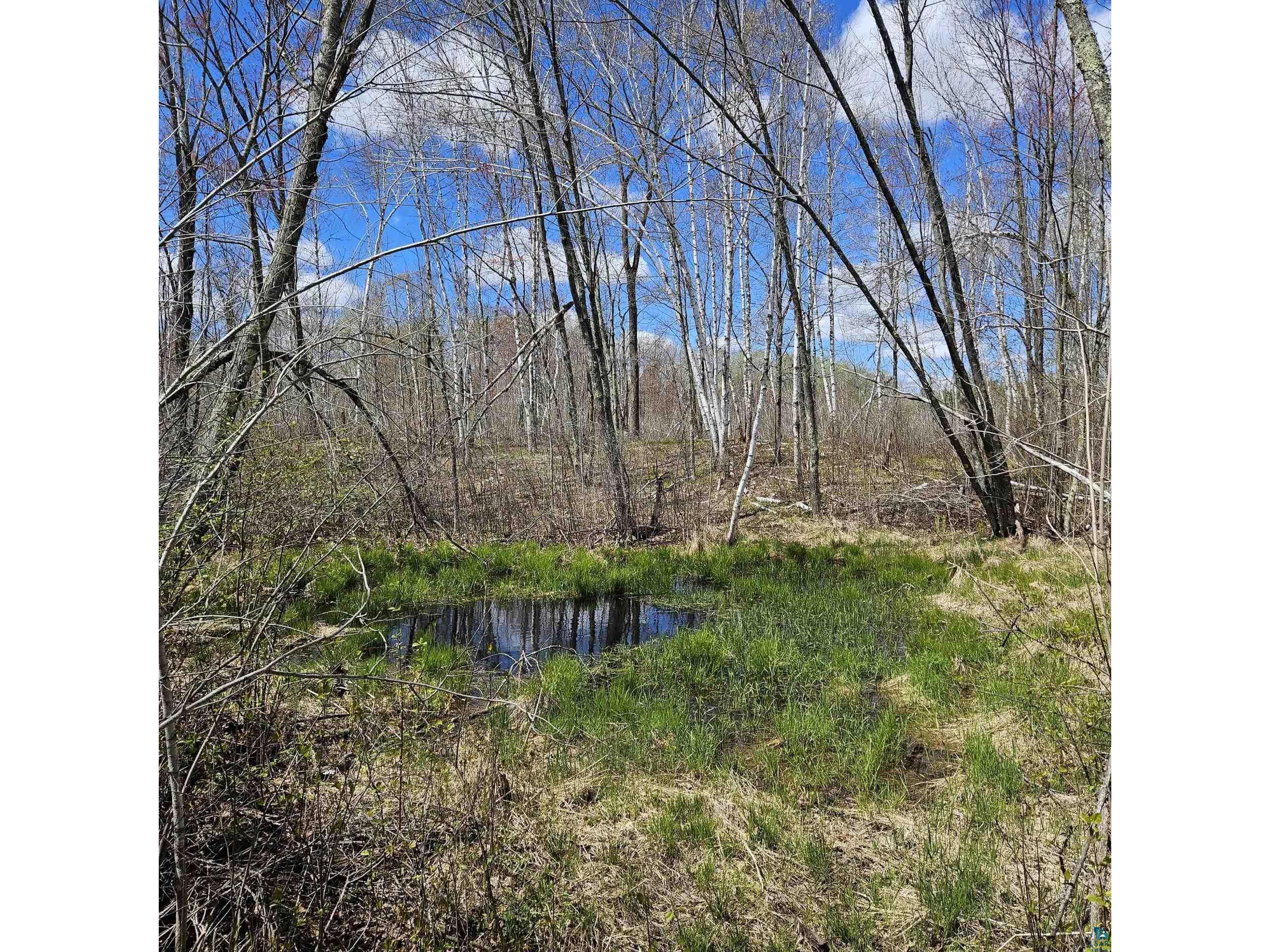 58059 Wolf Creek Rd Sandstone MN 55072 6126488 image24