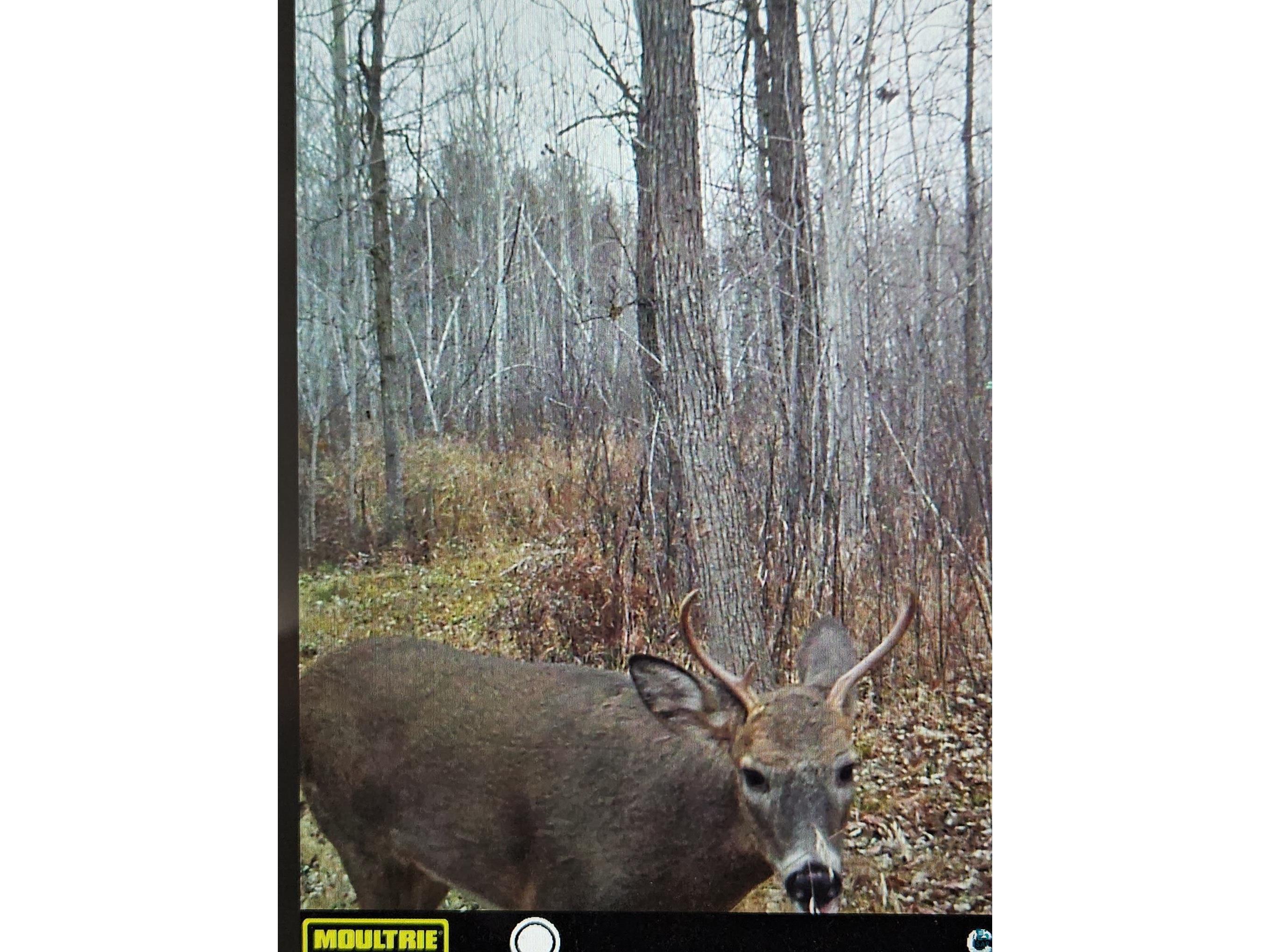 58059 Wolf Creek Rd Sandstone MN 55072 6126488 image27