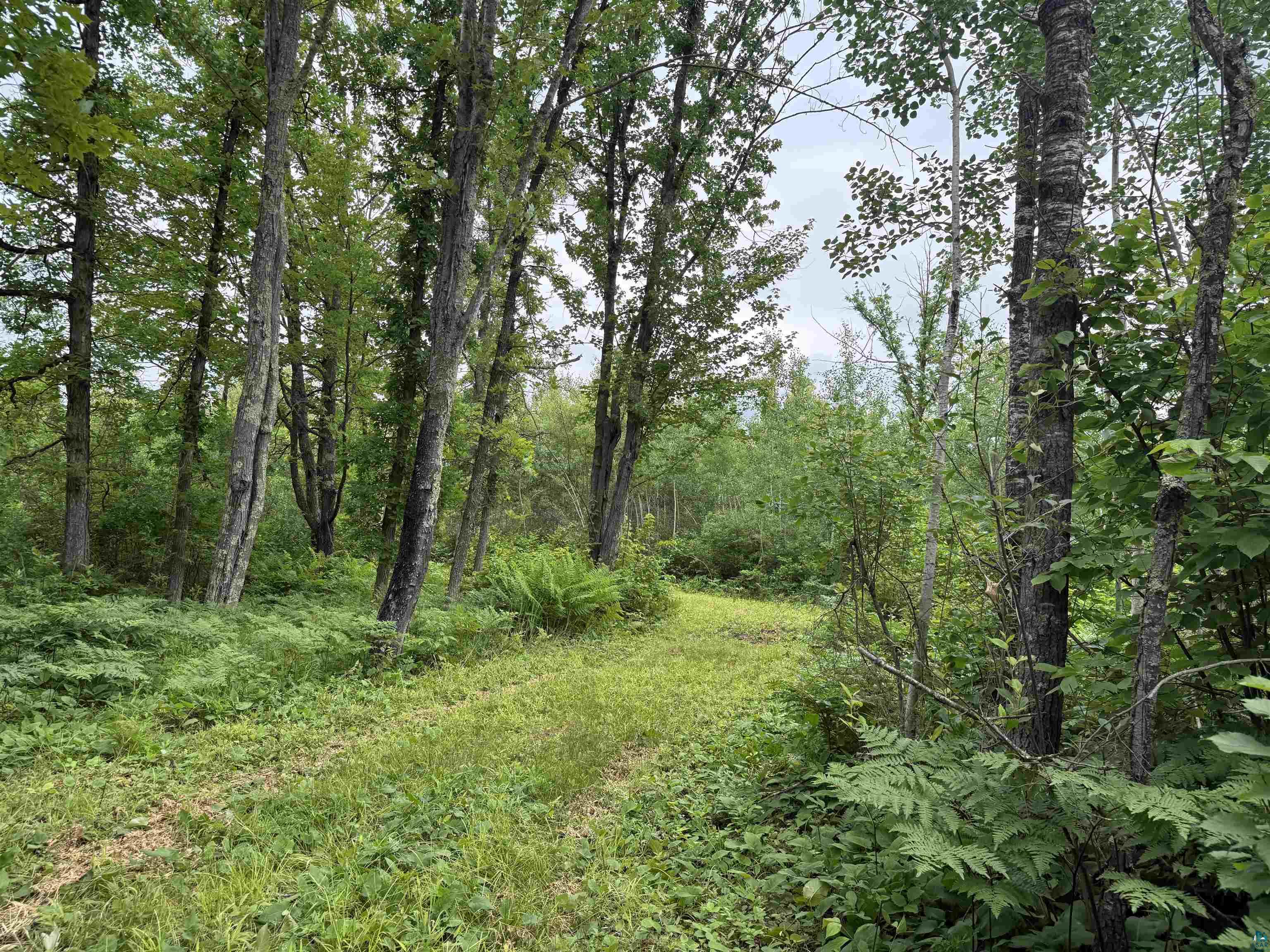 58059 Wolf Creek Rd Sandstone MN 55072 6126488 image4