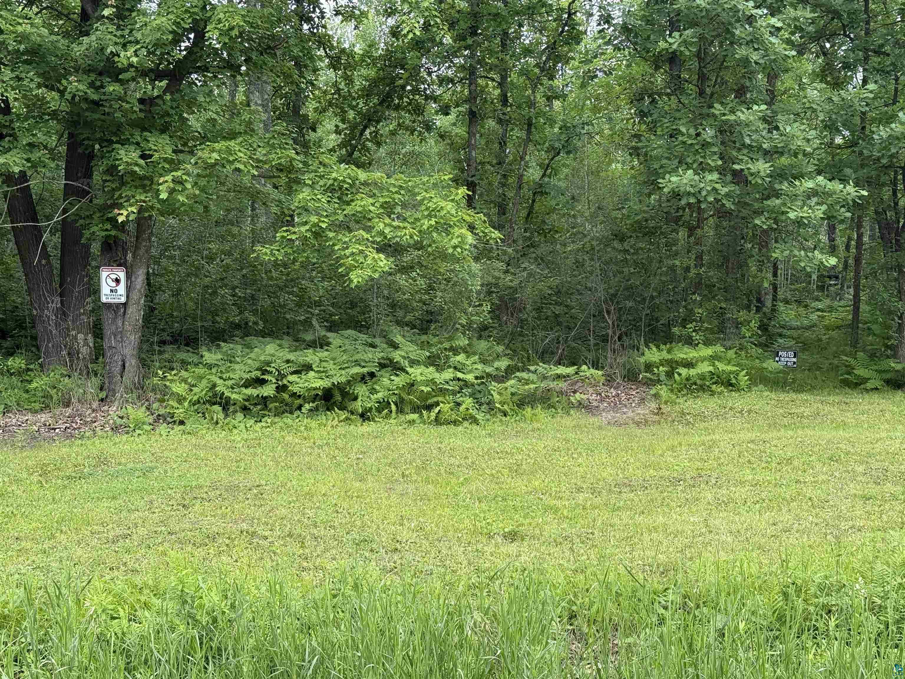 58059 Wolf Creek Rd Sandstone MN 55072 6126488 image6