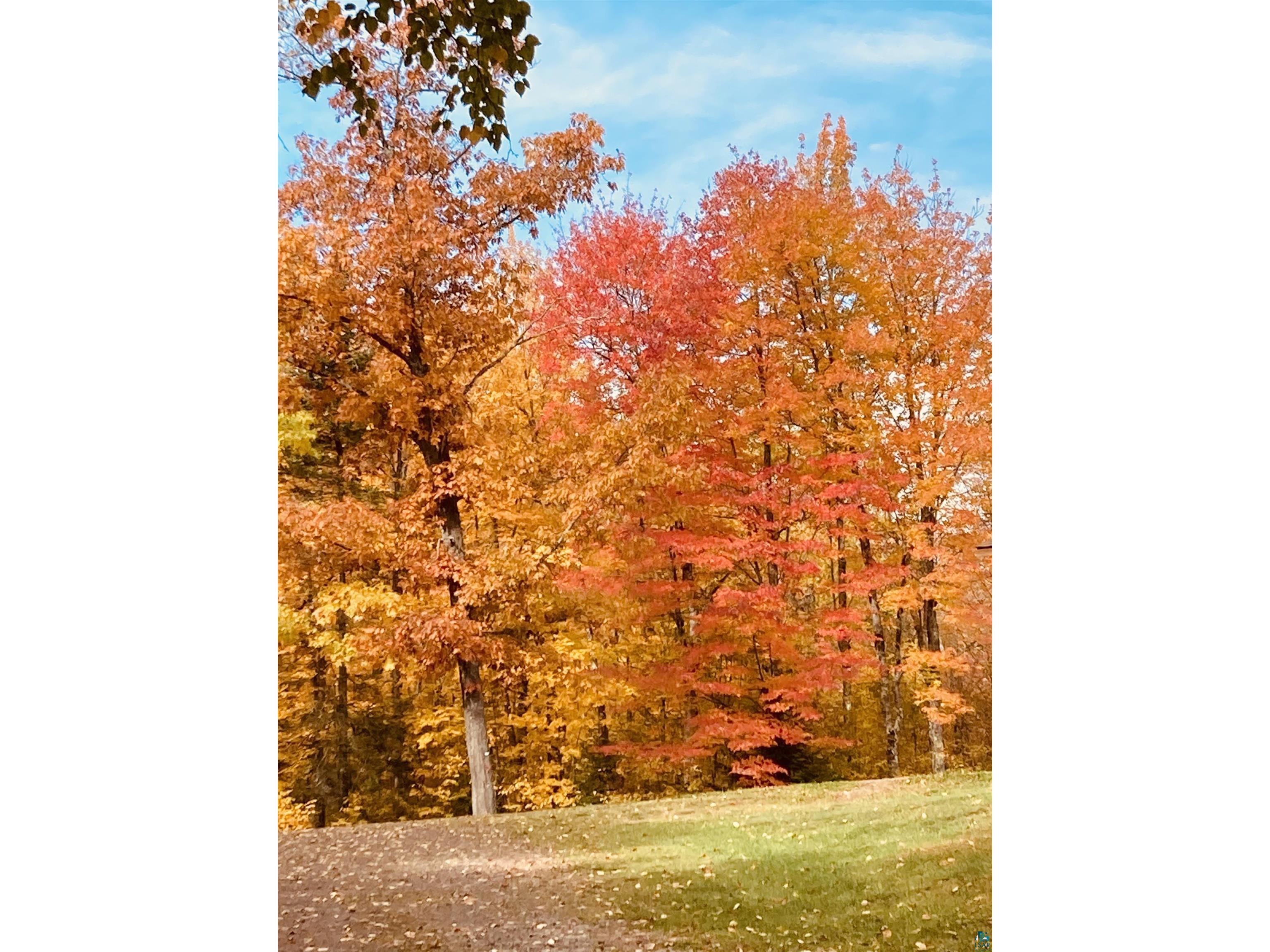 5981 E County Rd M Gordon WI 54838 6124560 image37