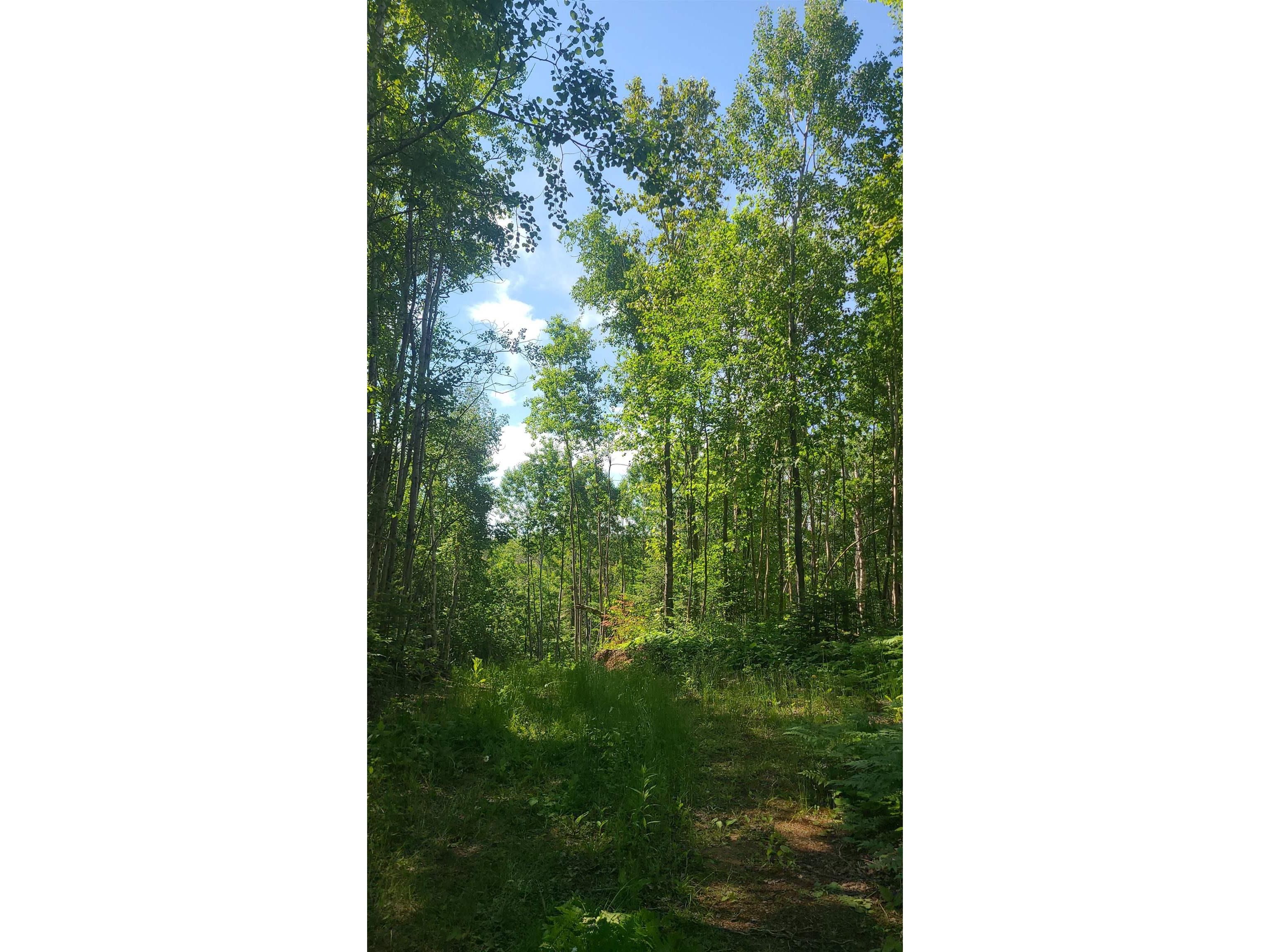 59XX Tri-Lakes Rd Oakland WI 54880 6121375 image3