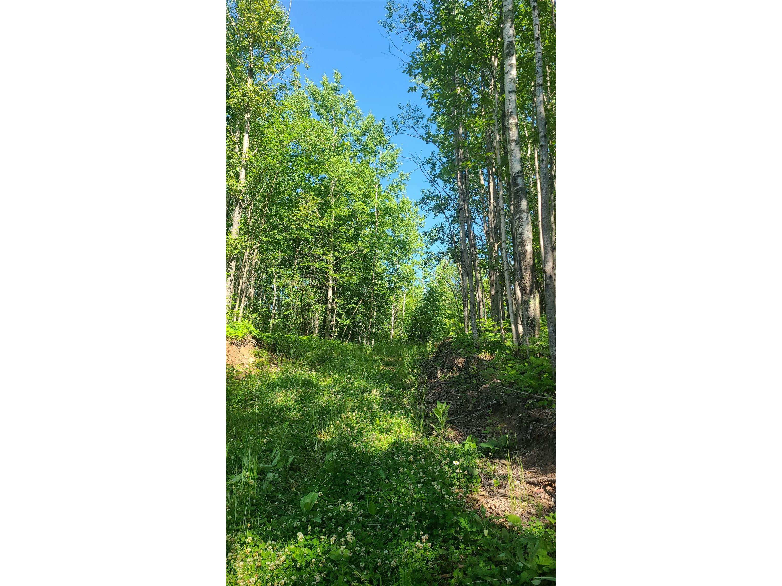 59XX Tri-Lakes Rd Oakland WI 54880 6121375 image6