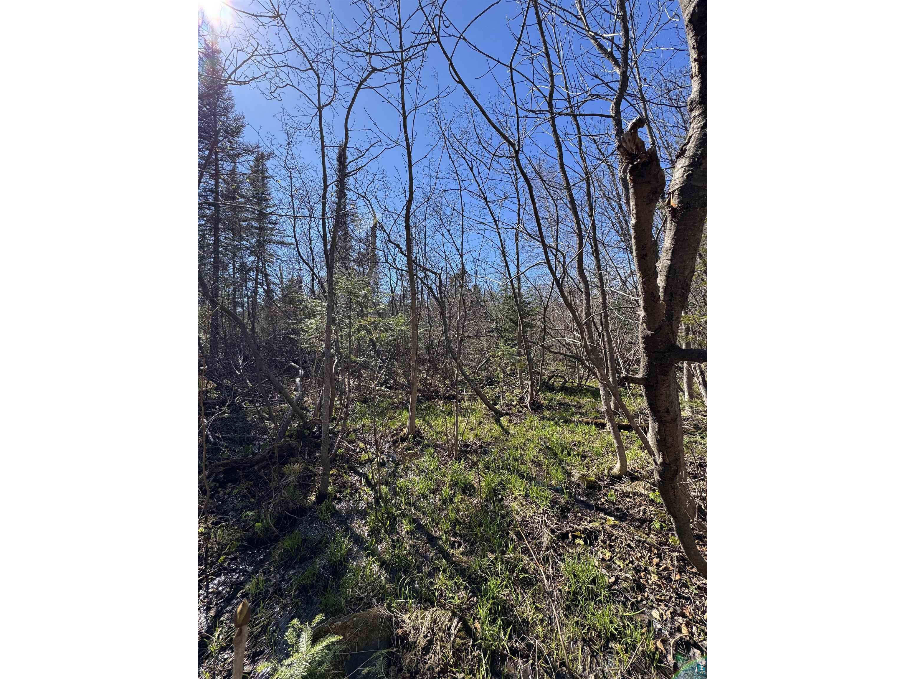 5XX Lindskog Rd Grand Marais MN 55604 6125512 image8