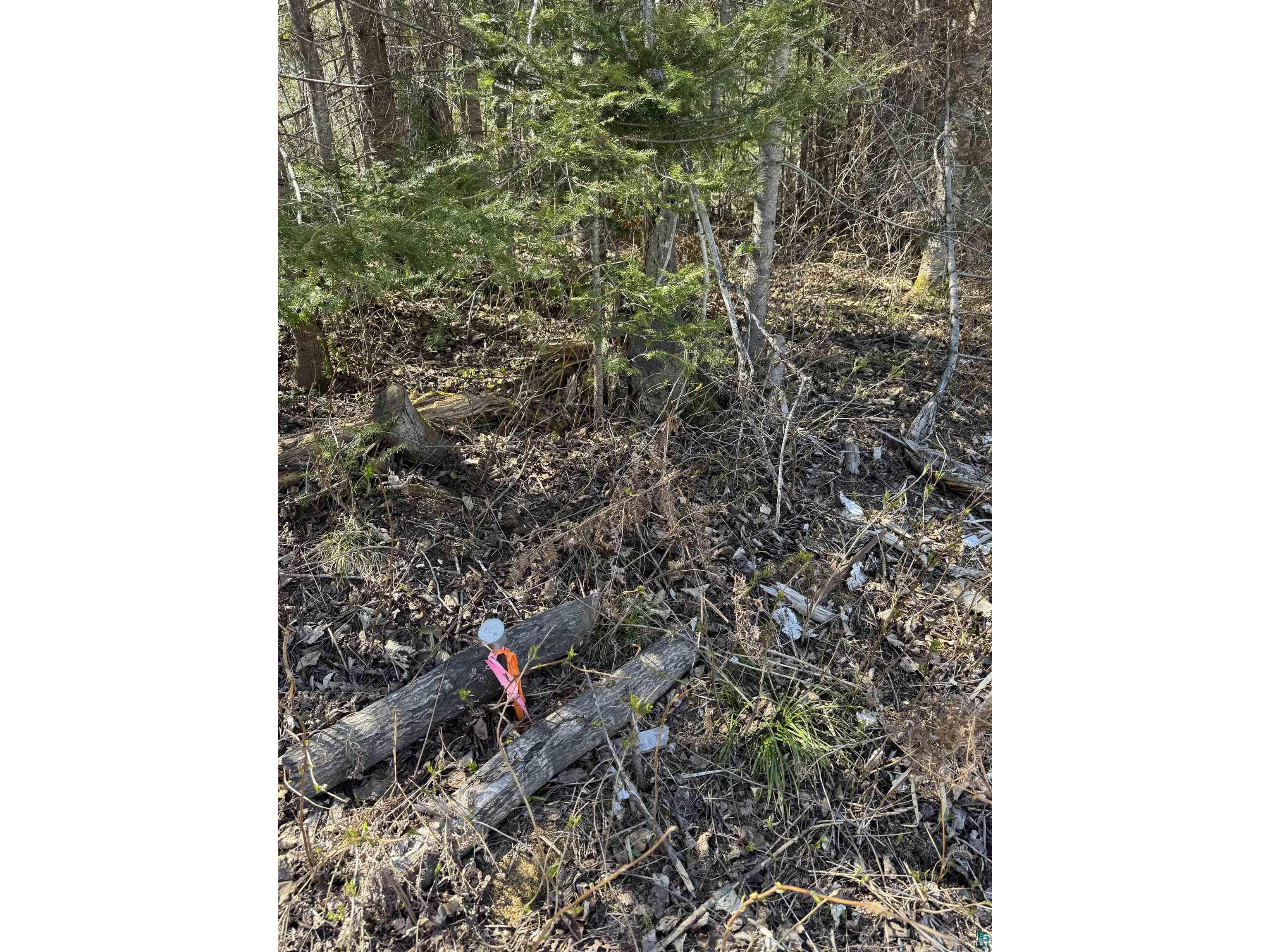 5XX Lindskog Rd Grand Marais MN 55604 6125512 image9