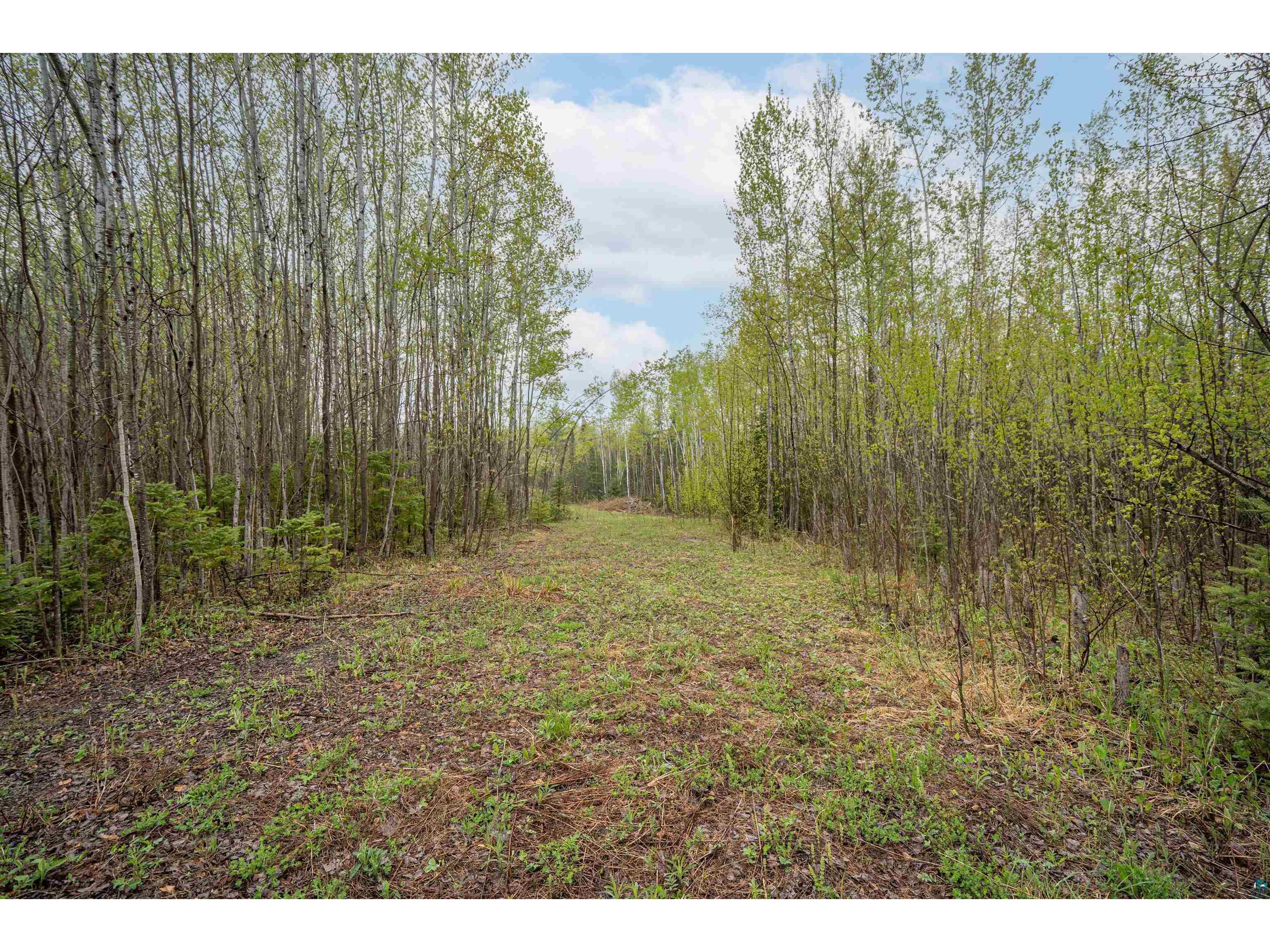 5XXX E Bluff Creek Tr South Range WI 54874 6125385 image11