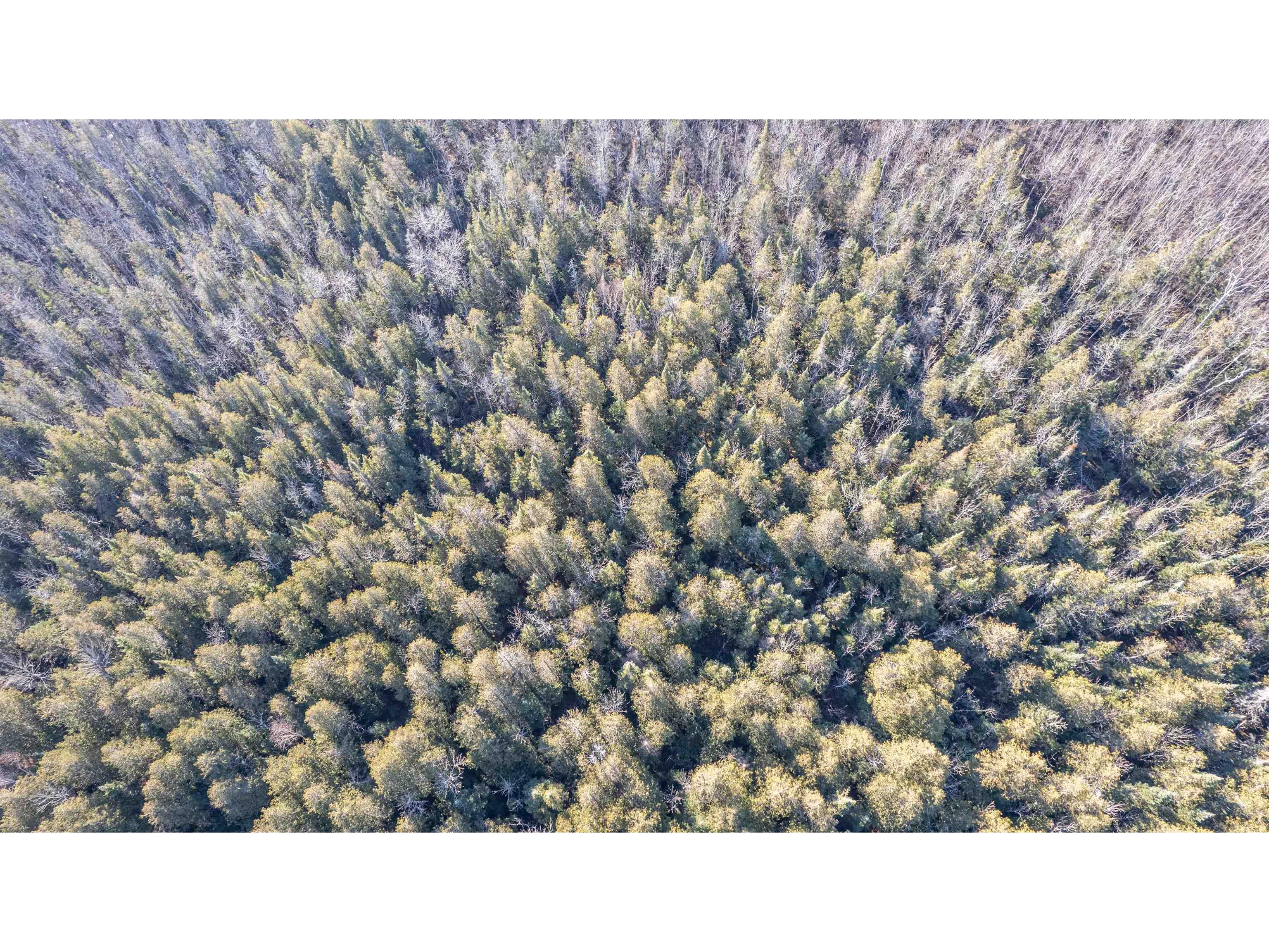 5XXX Highway 194 Hermantown MN 55811 6123028 image10