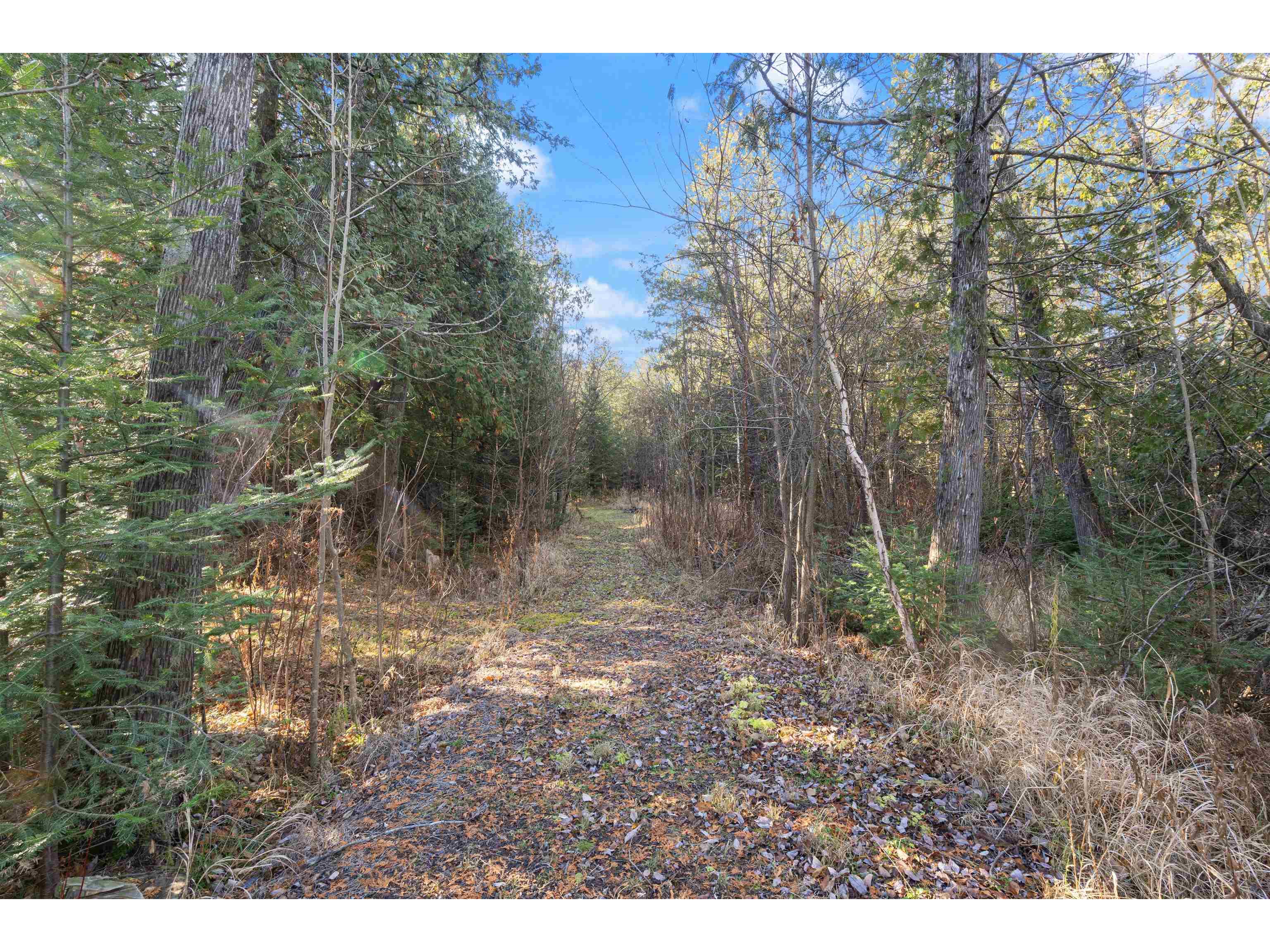 5XXX Highway 194 Hermantown MN 55811 6123028 image7