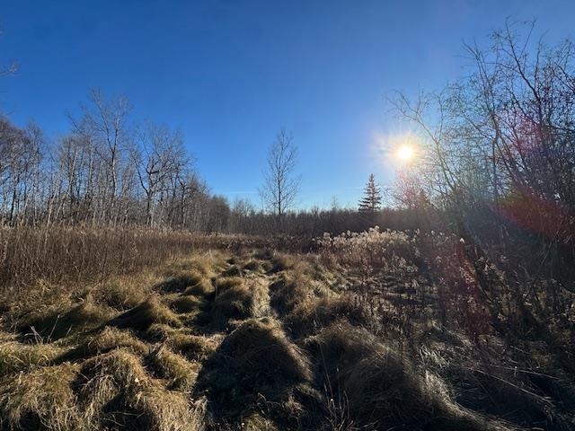 5XXX Martin Rd Duluth MN 55811 6122955 image2