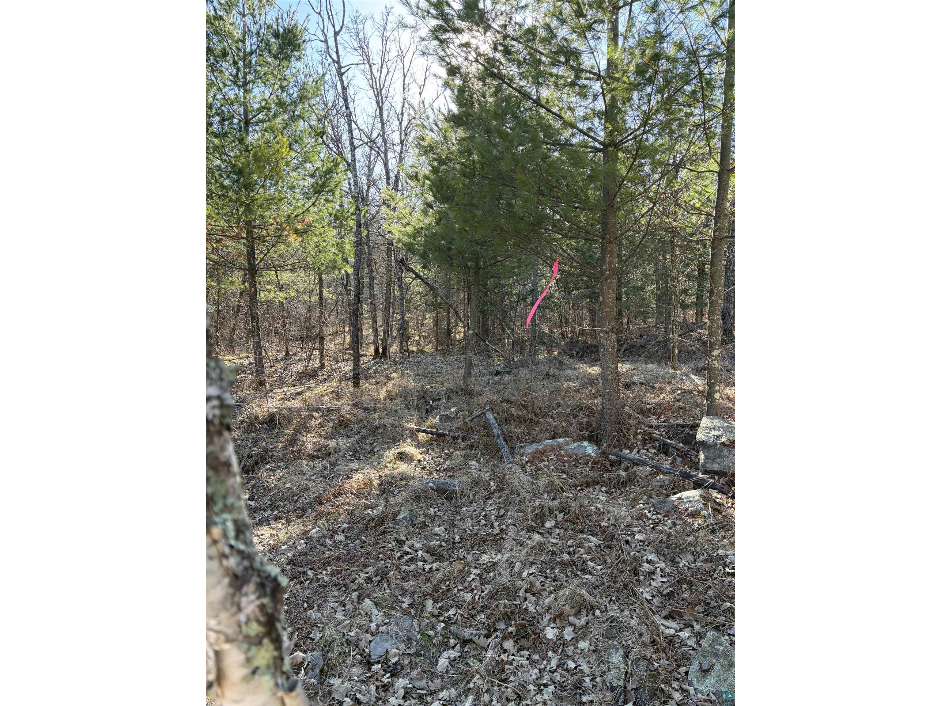 5xx 7th St Moose Lake MN 55767 6124671 image1