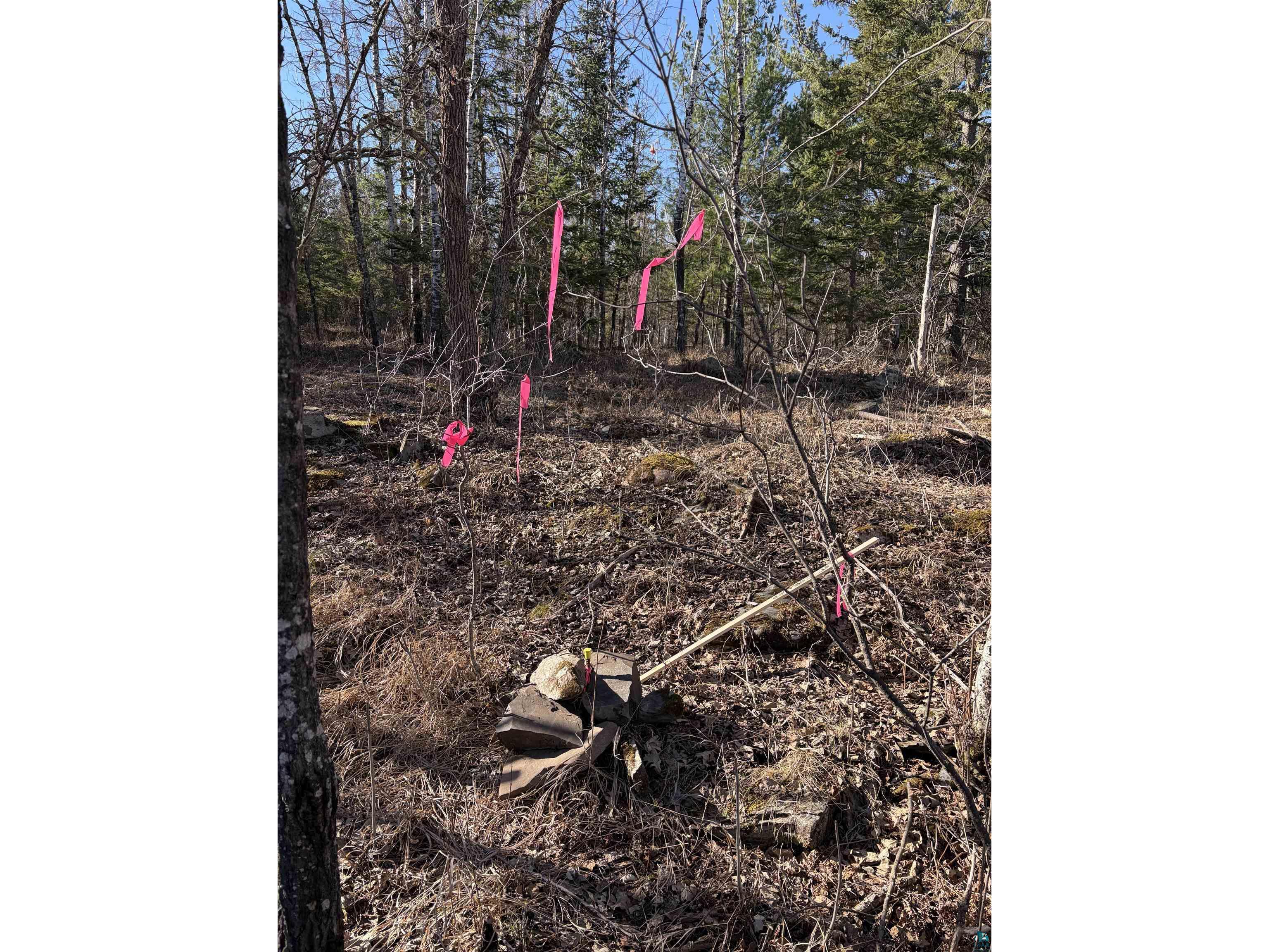 5xx 7th St Moose Lake MN 55767 6124671 image10