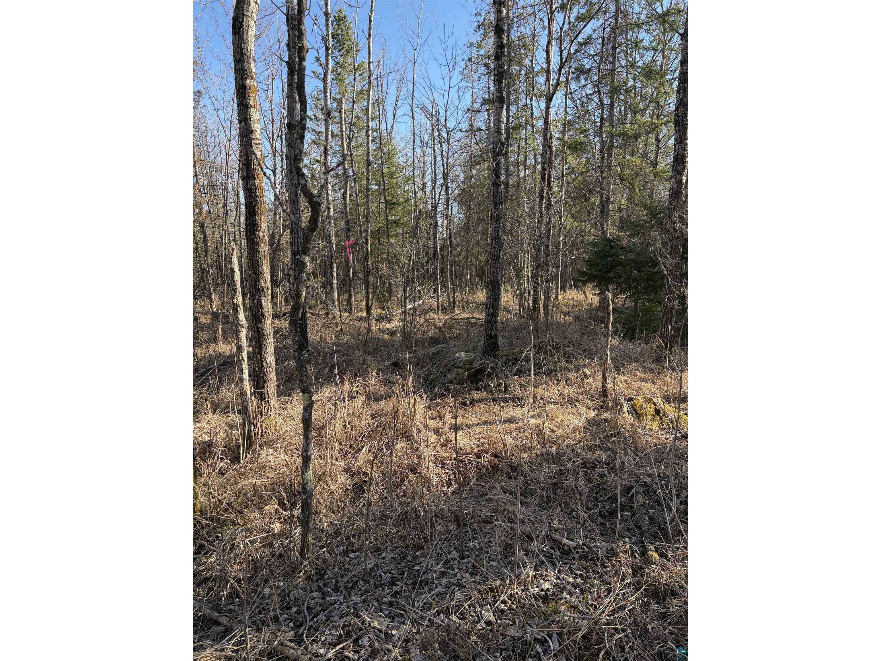 5xx 7th St Moose Lake MN 55767 6124671 image11