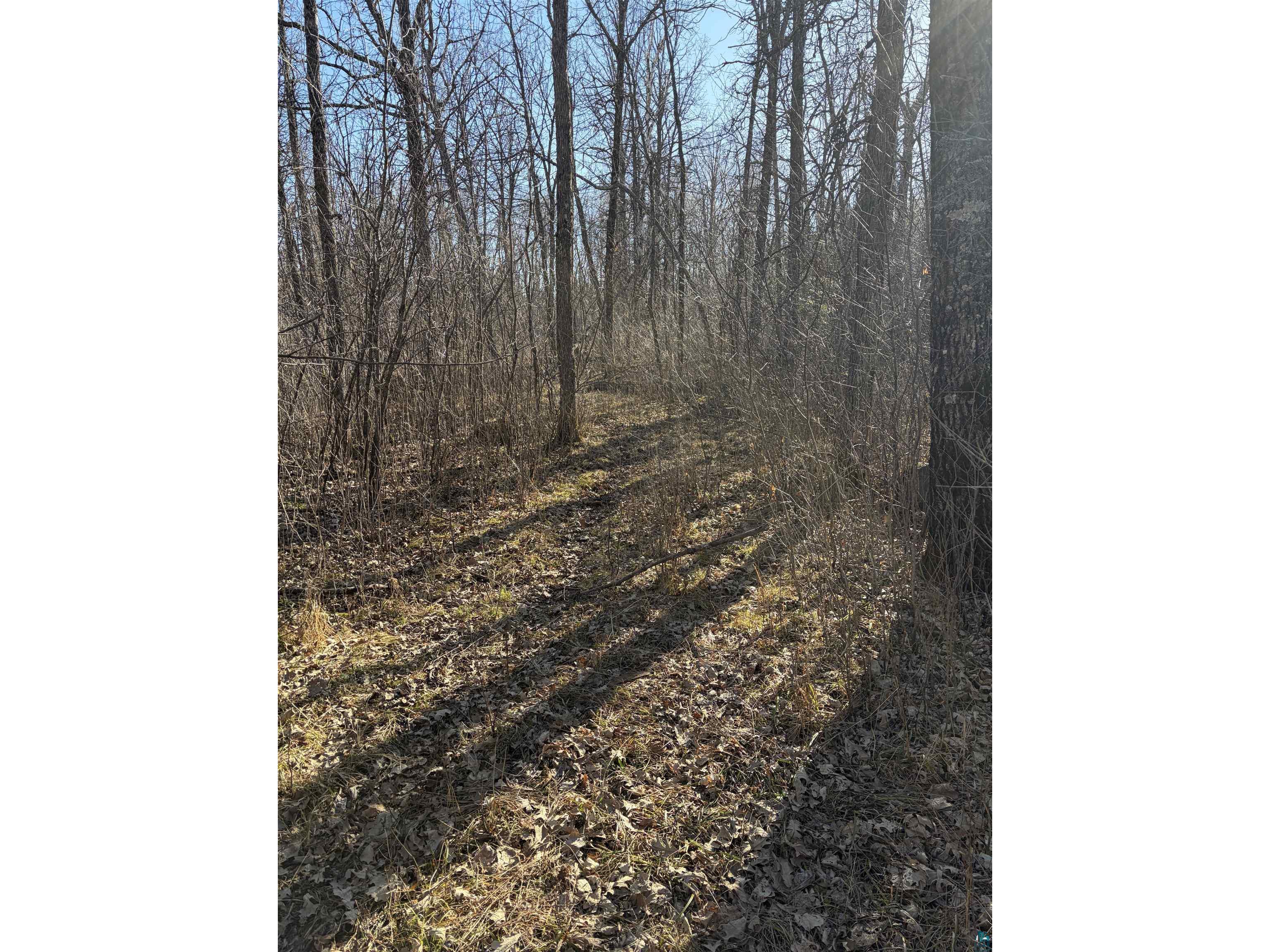 5xx 7th St Moose Lake MN 55767 6124671 image13