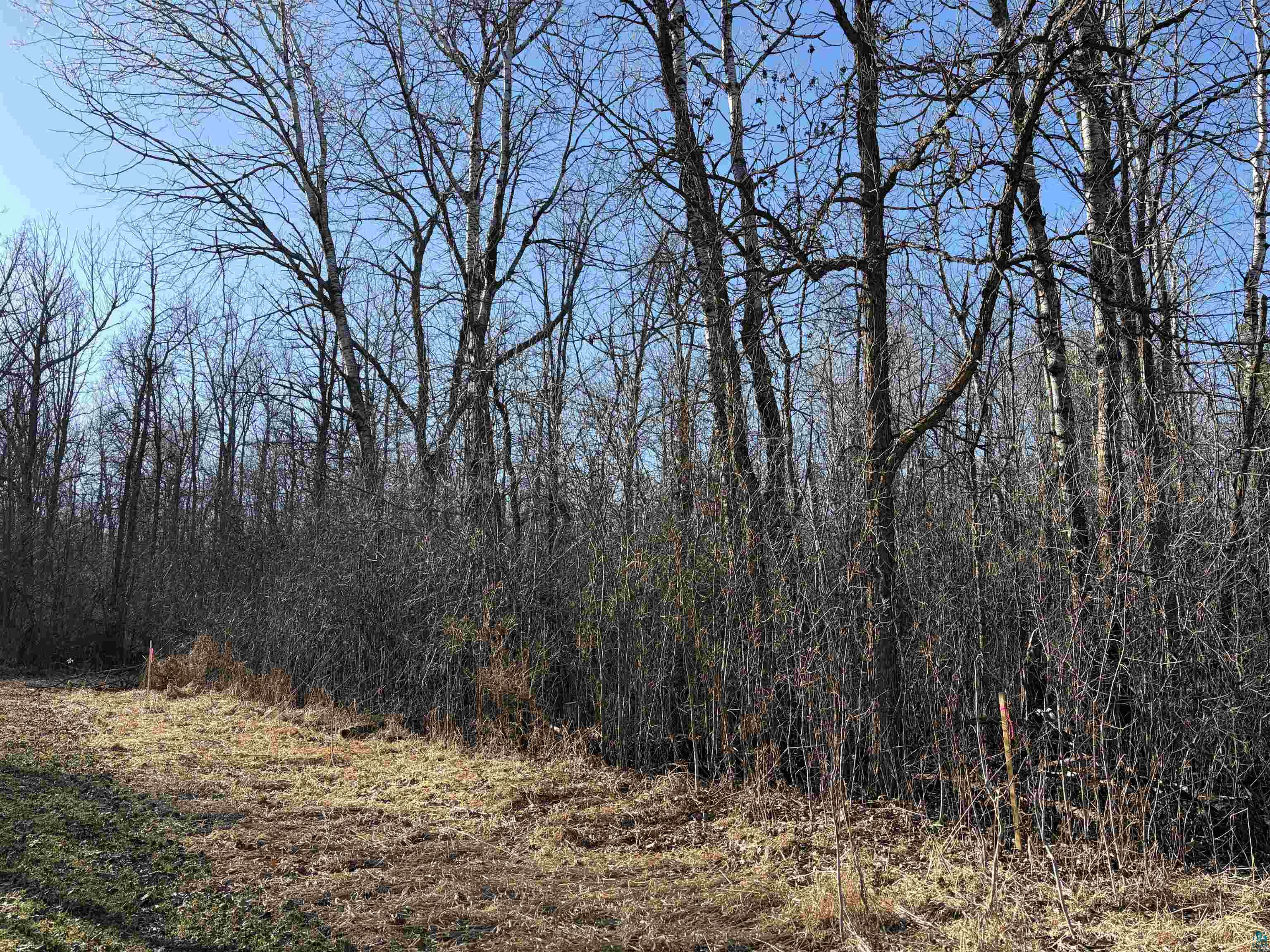 5xx 7th St Moose Lake MN 55767 6124671 image14