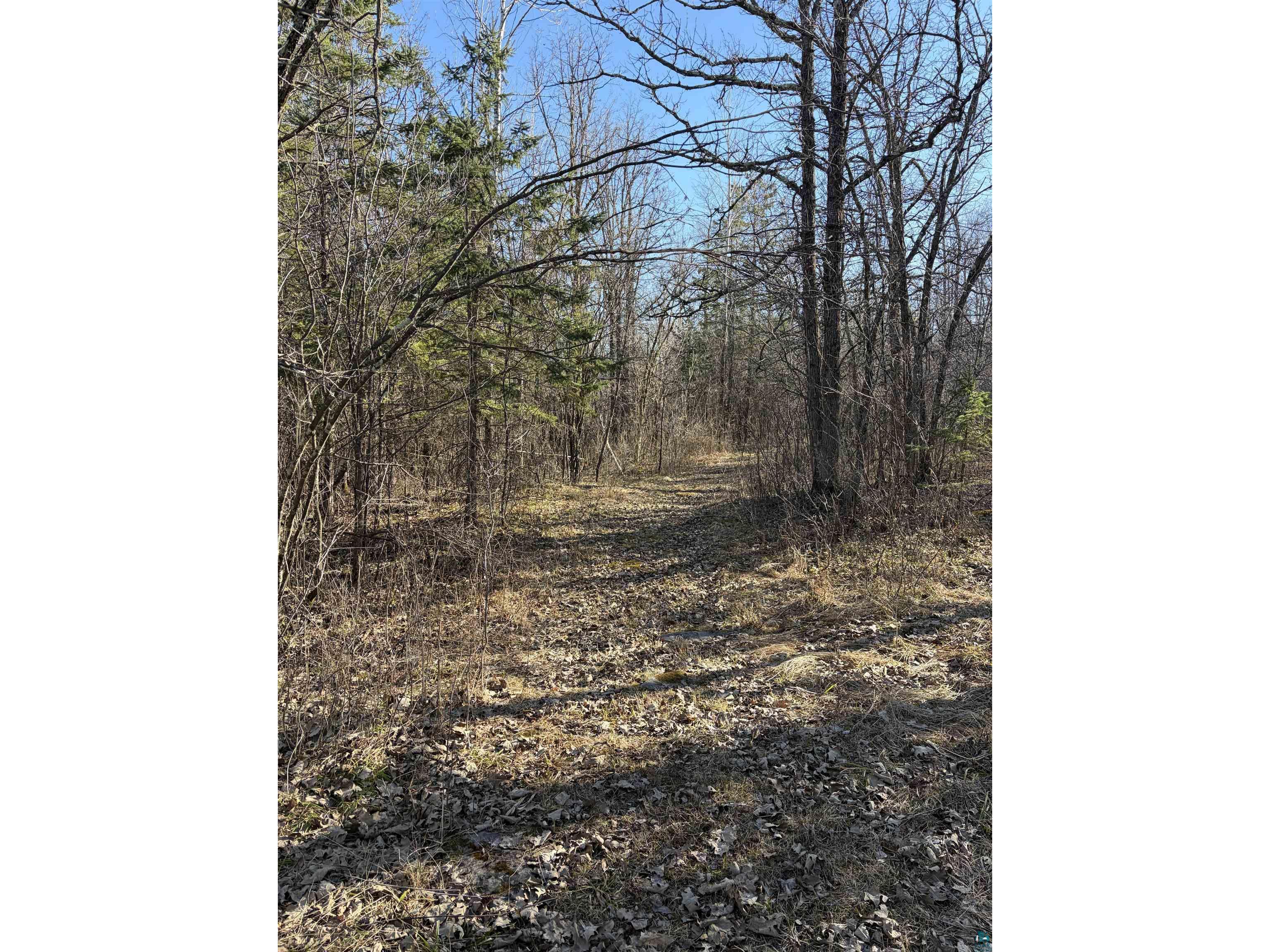 5xx 7th St Moose Lake MN 55767 6124671 image2