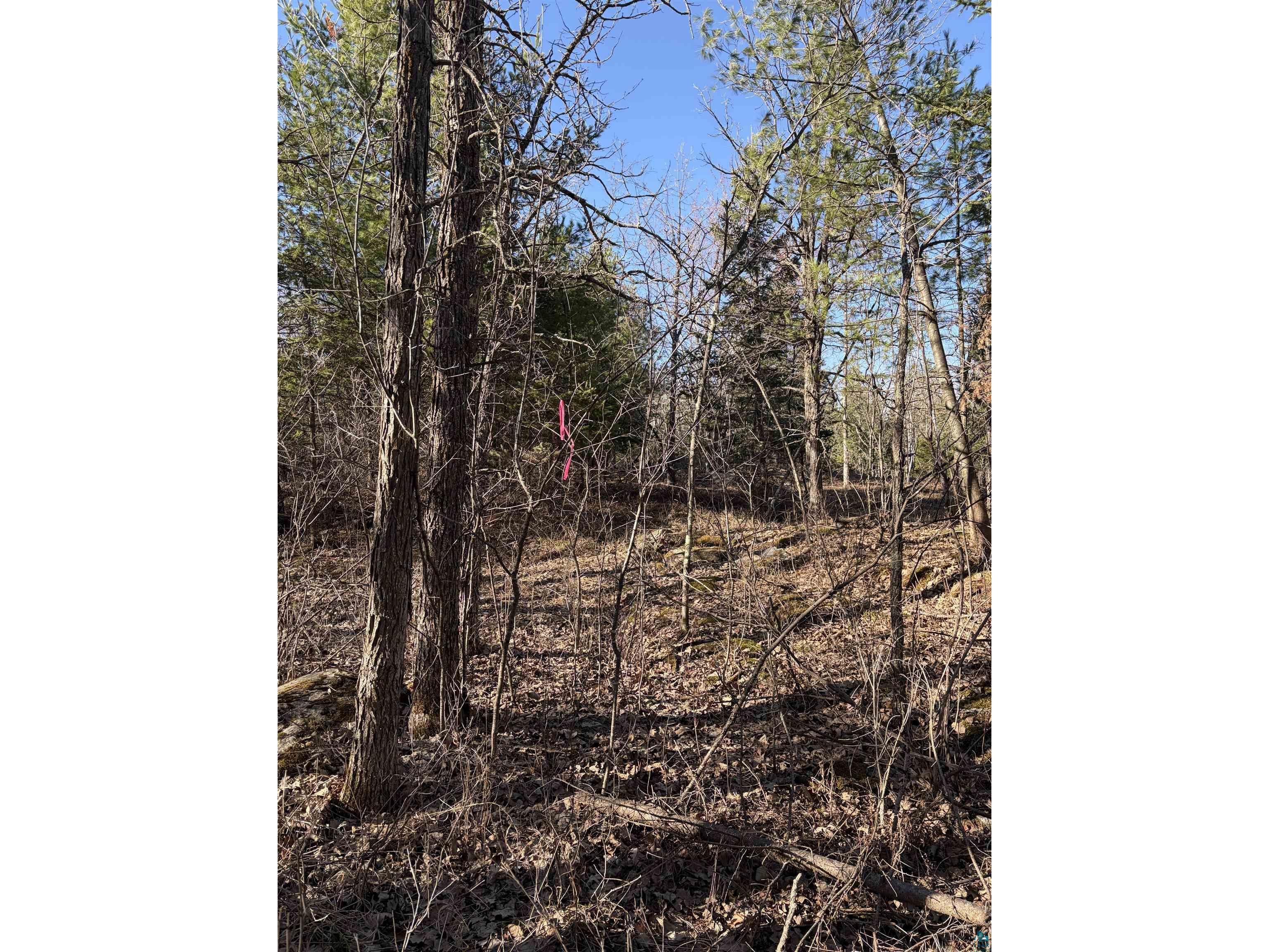 5xx 7th St Moose Lake MN 55767 6124671 image3