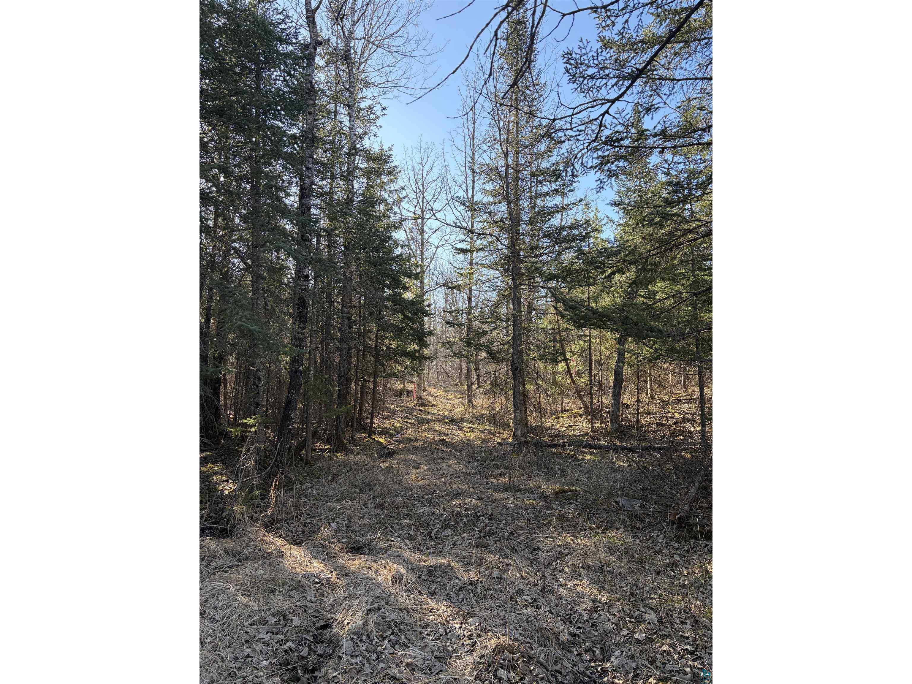 5xx 7th St Moose Lake MN 55767 6124671 image4