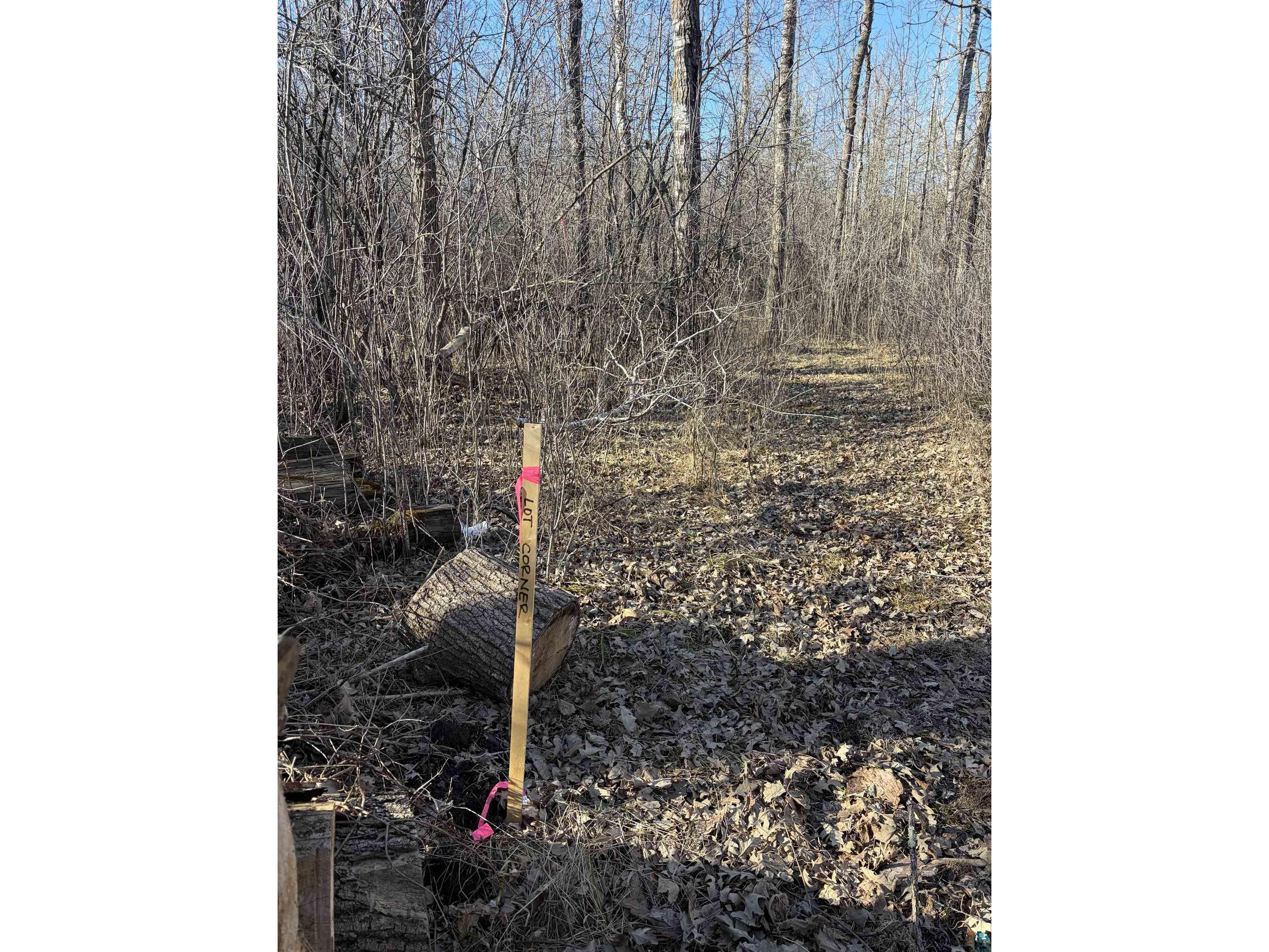 5xx 7th St Moose Lake MN 55767 6124671 image5