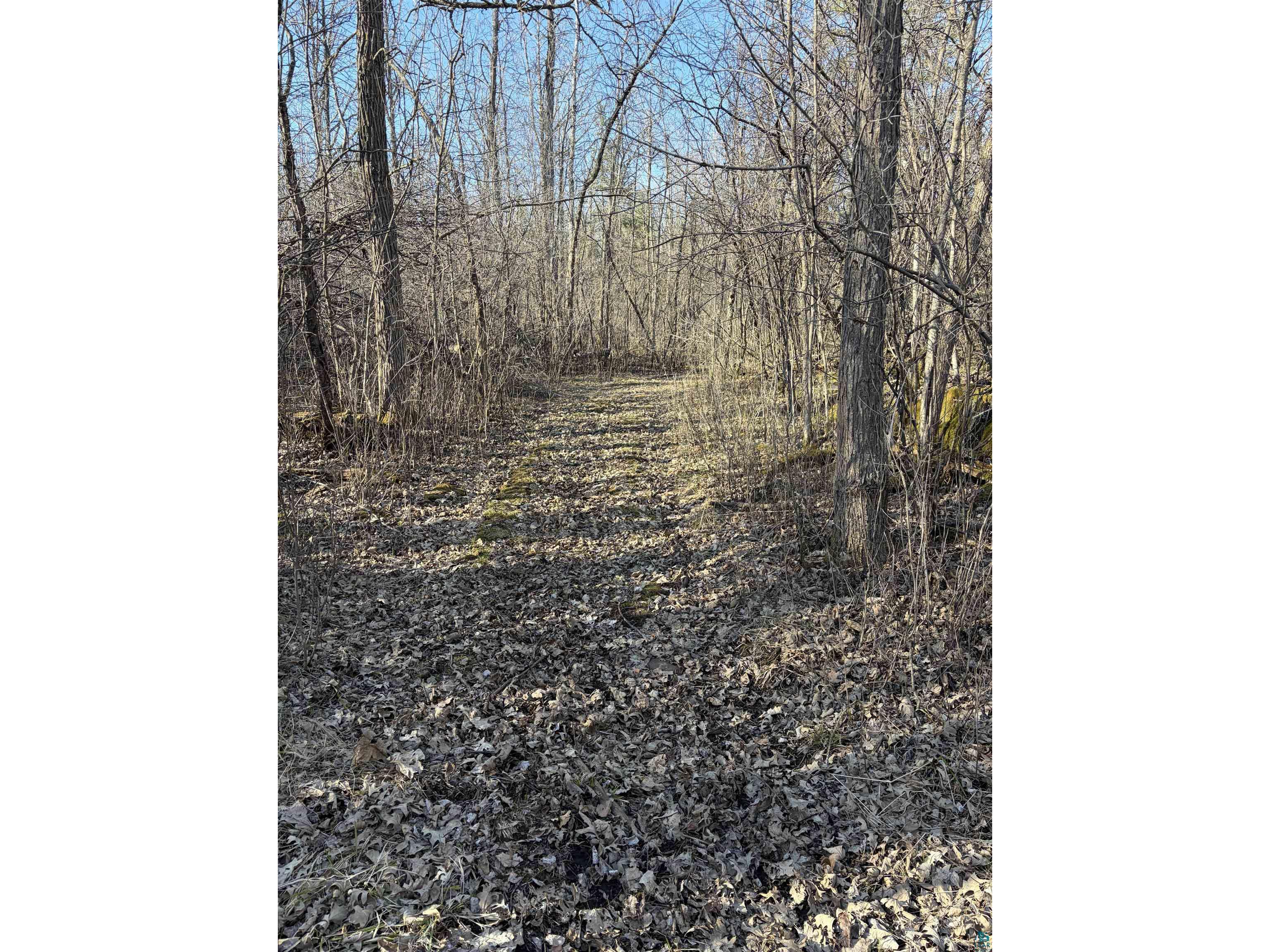 5xx 7th St Moose Lake MN 55767 6124671 image6