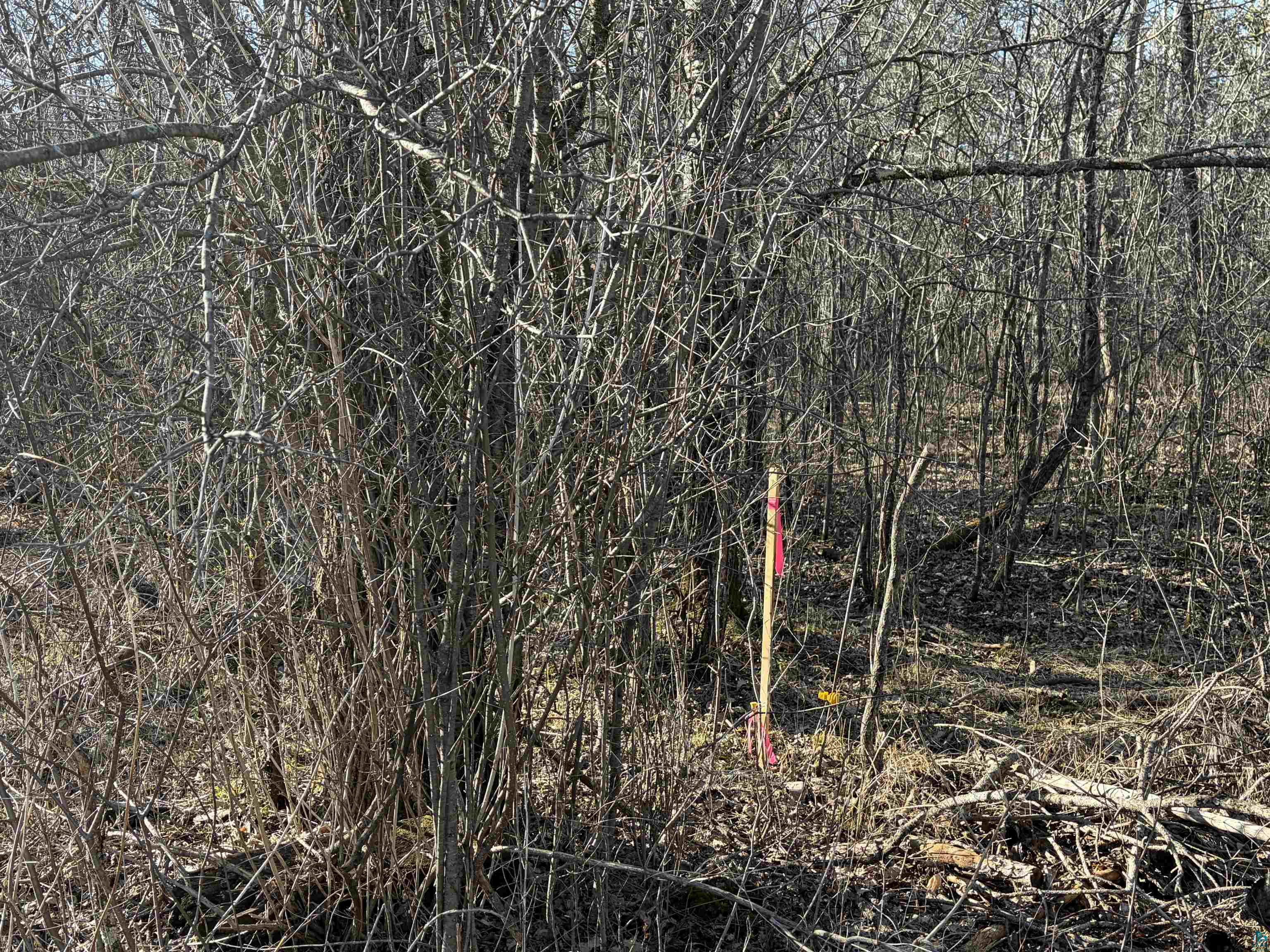 5xx 7th St Moose Lake MN 55767 6124671 image8