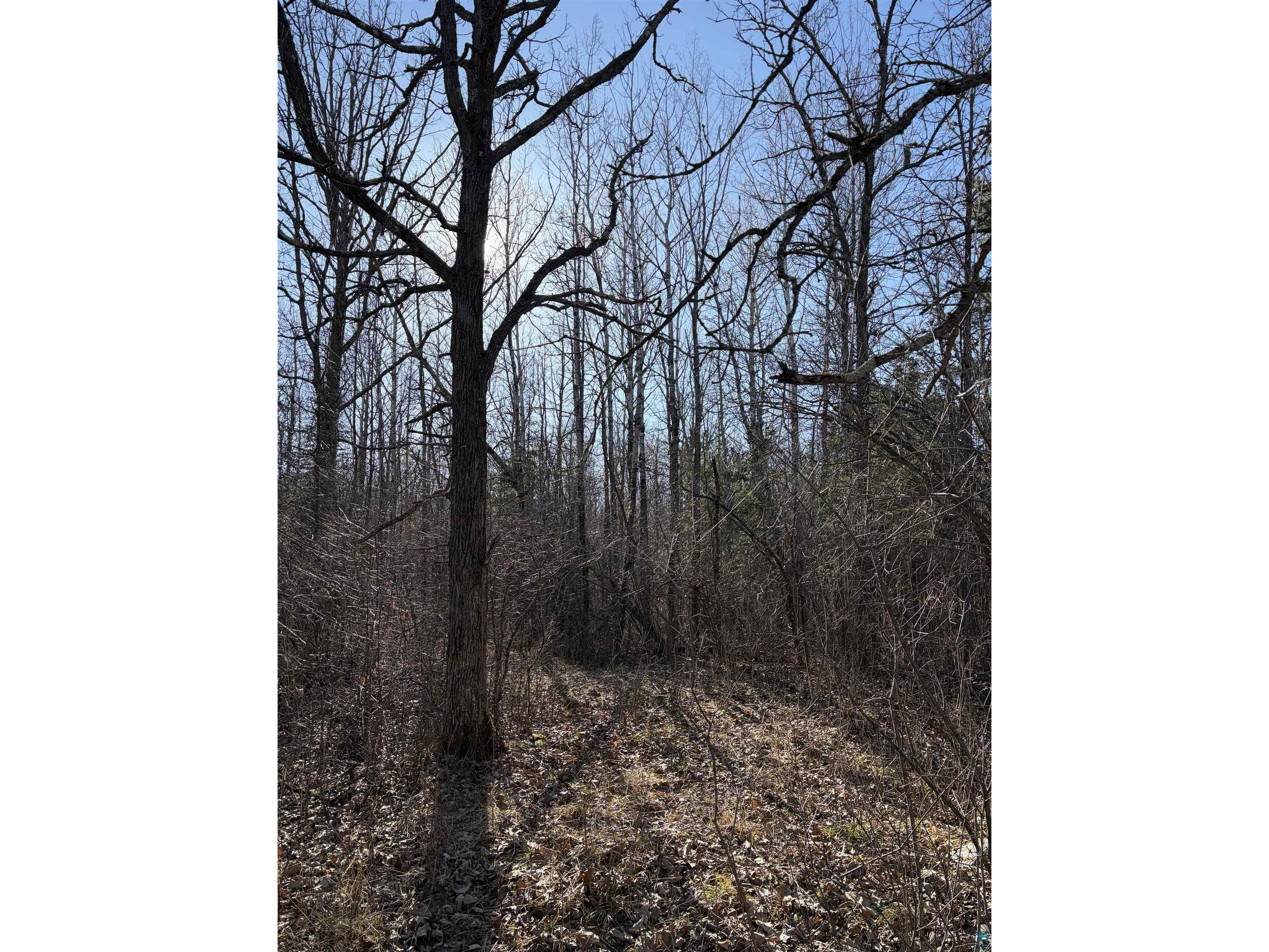 5xx 7th St Moose Lake MN 55767 6124671 image9