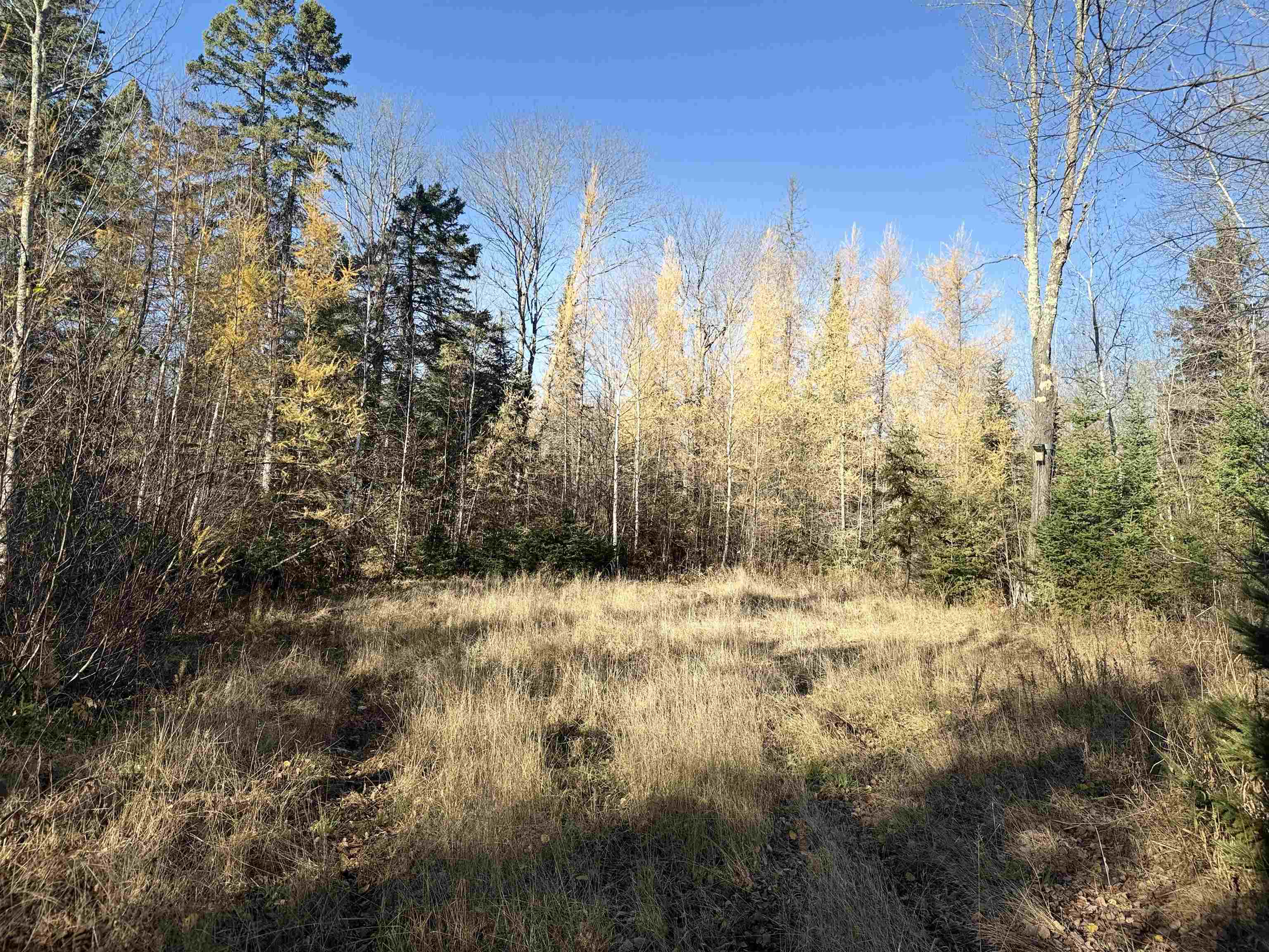 6027 N County Hwy M Winter WI 54896 6122722 image2