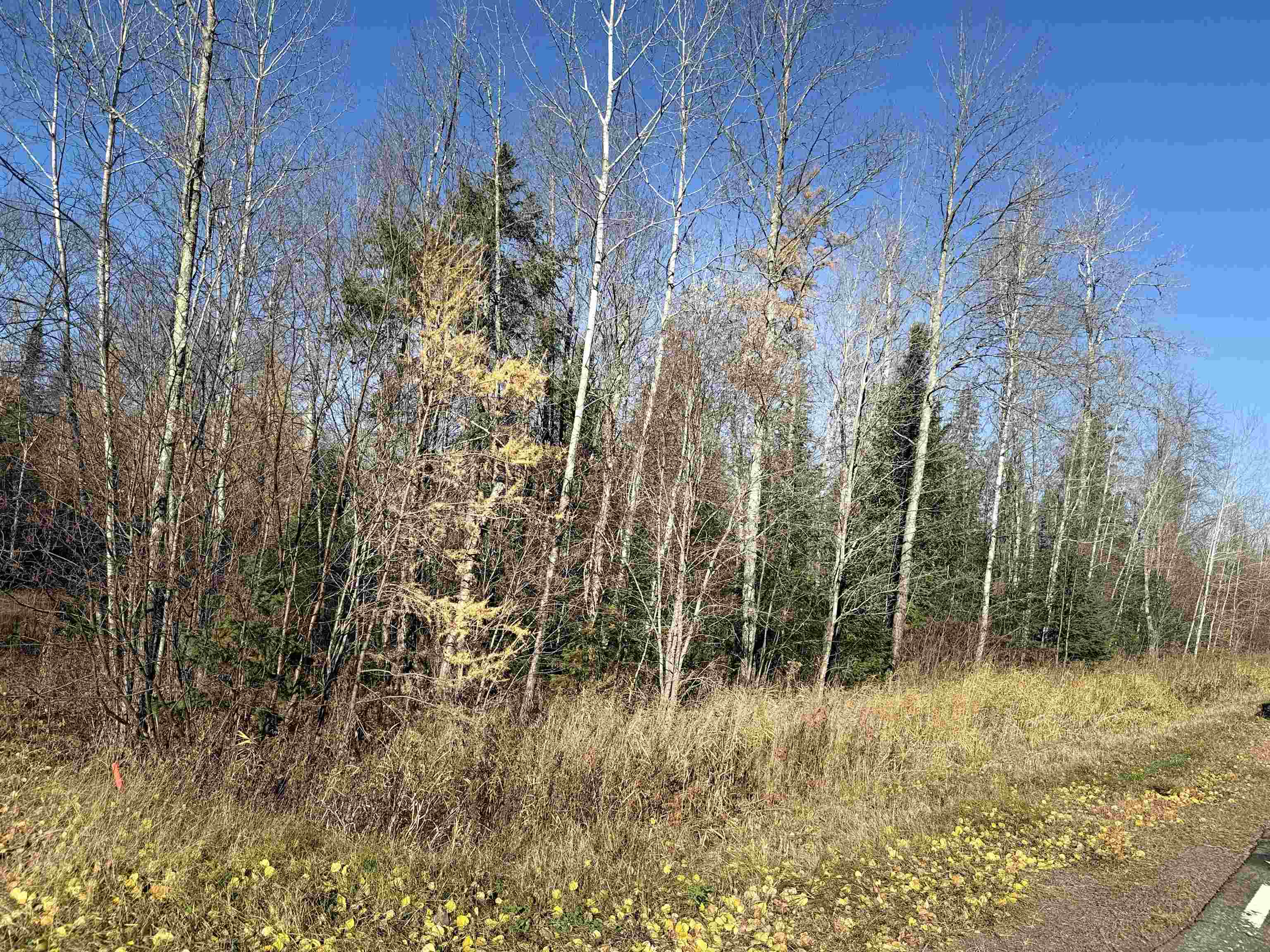 6027 N County Hwy M Winter WI 54896 6122722 image4