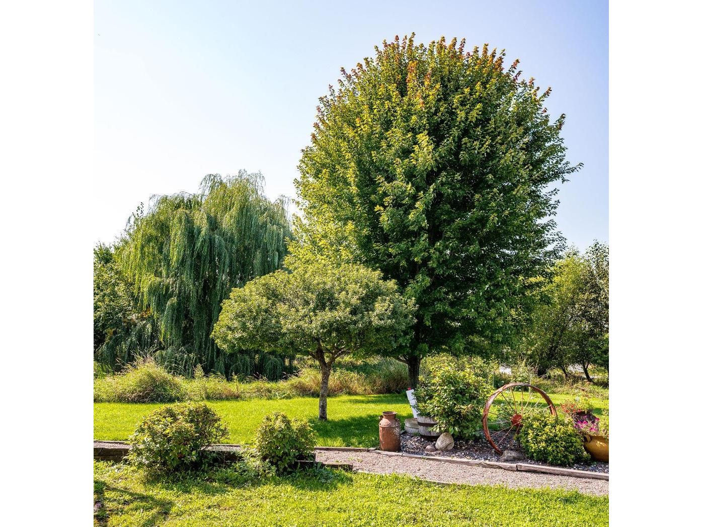 60445 W Summit Rd Ashland WI 54806 6121974 image53