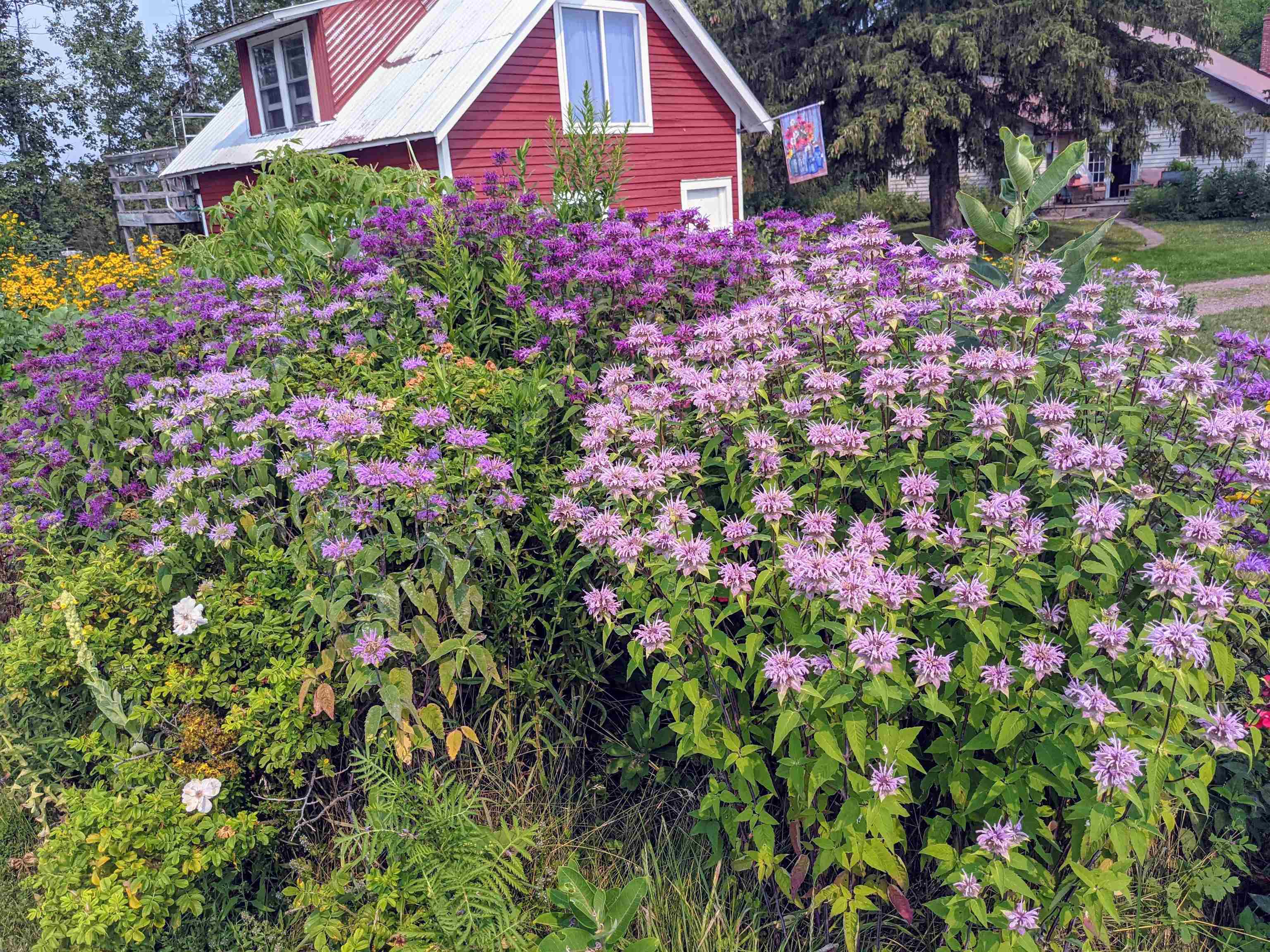 60445 W Summit Rd Ashland WI 54806 6121975 image60