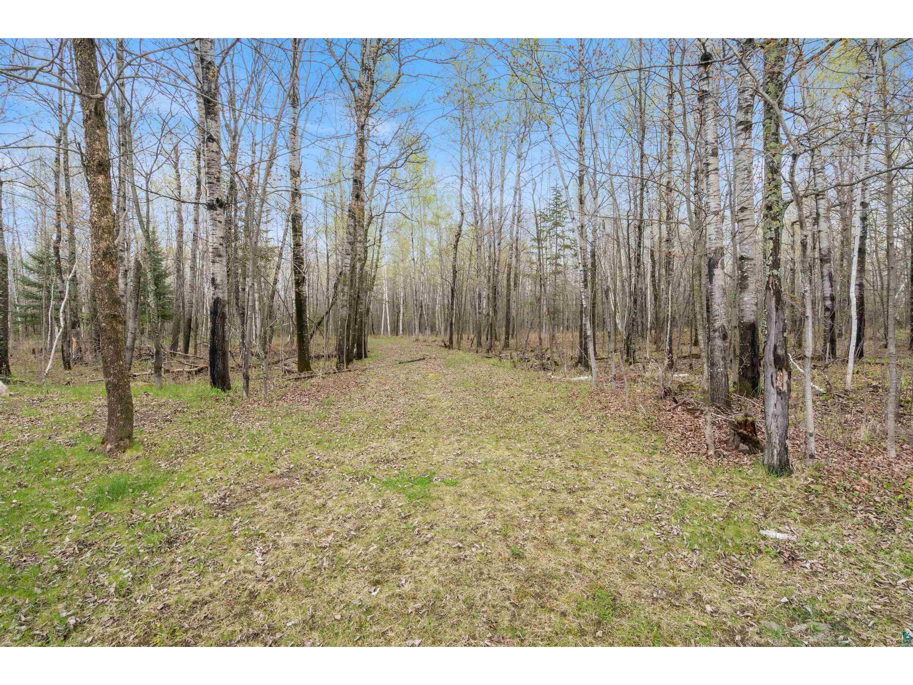 6046 Koller Ln Cotton MN 55724 - Long Lake 6126878 image57