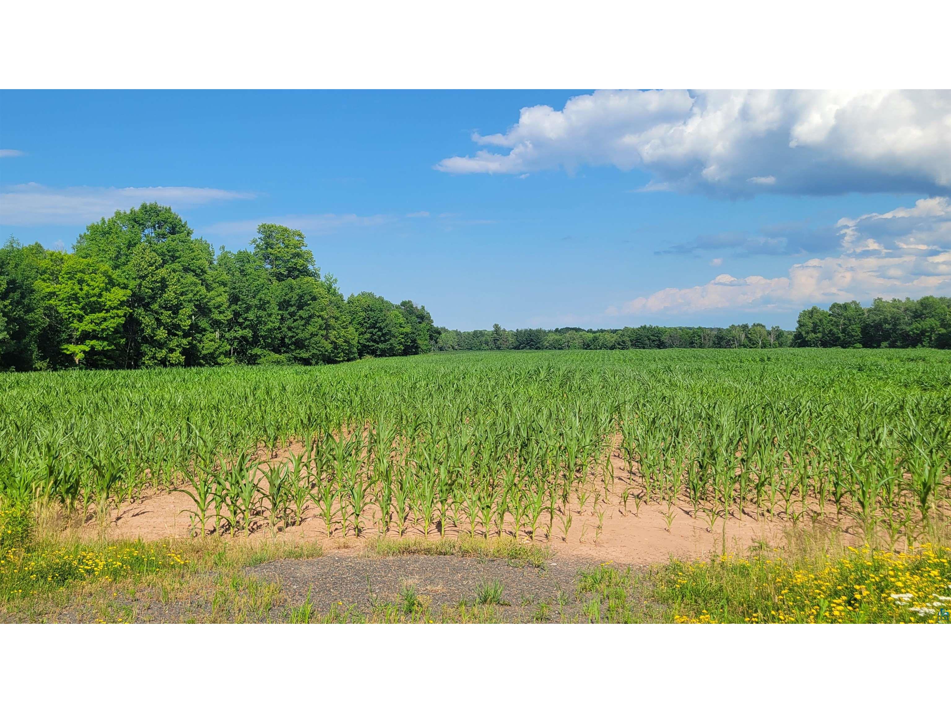 609xx County Hwy E Mason WI 54856 6126709 image3